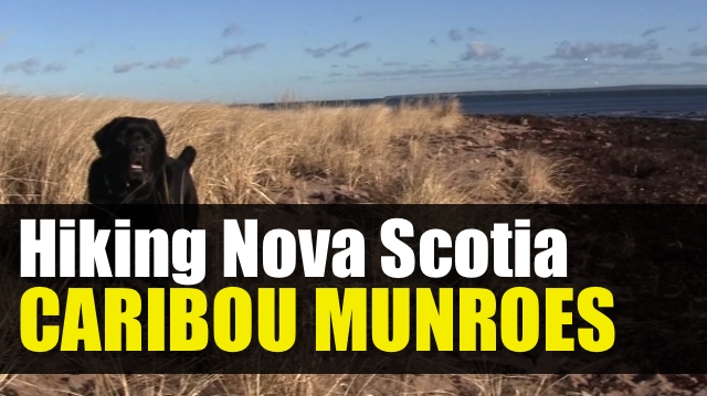 Caribou Munroes Island Provincial Park - cariboumunroes