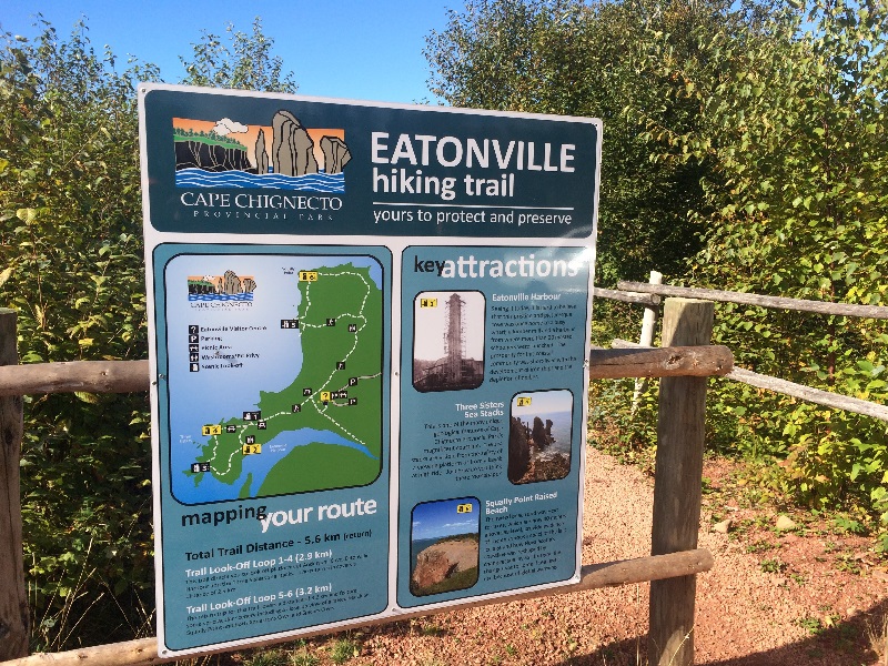 Cape Chignecto Day Use Hiking Trails in Eatonville - IMG 8804