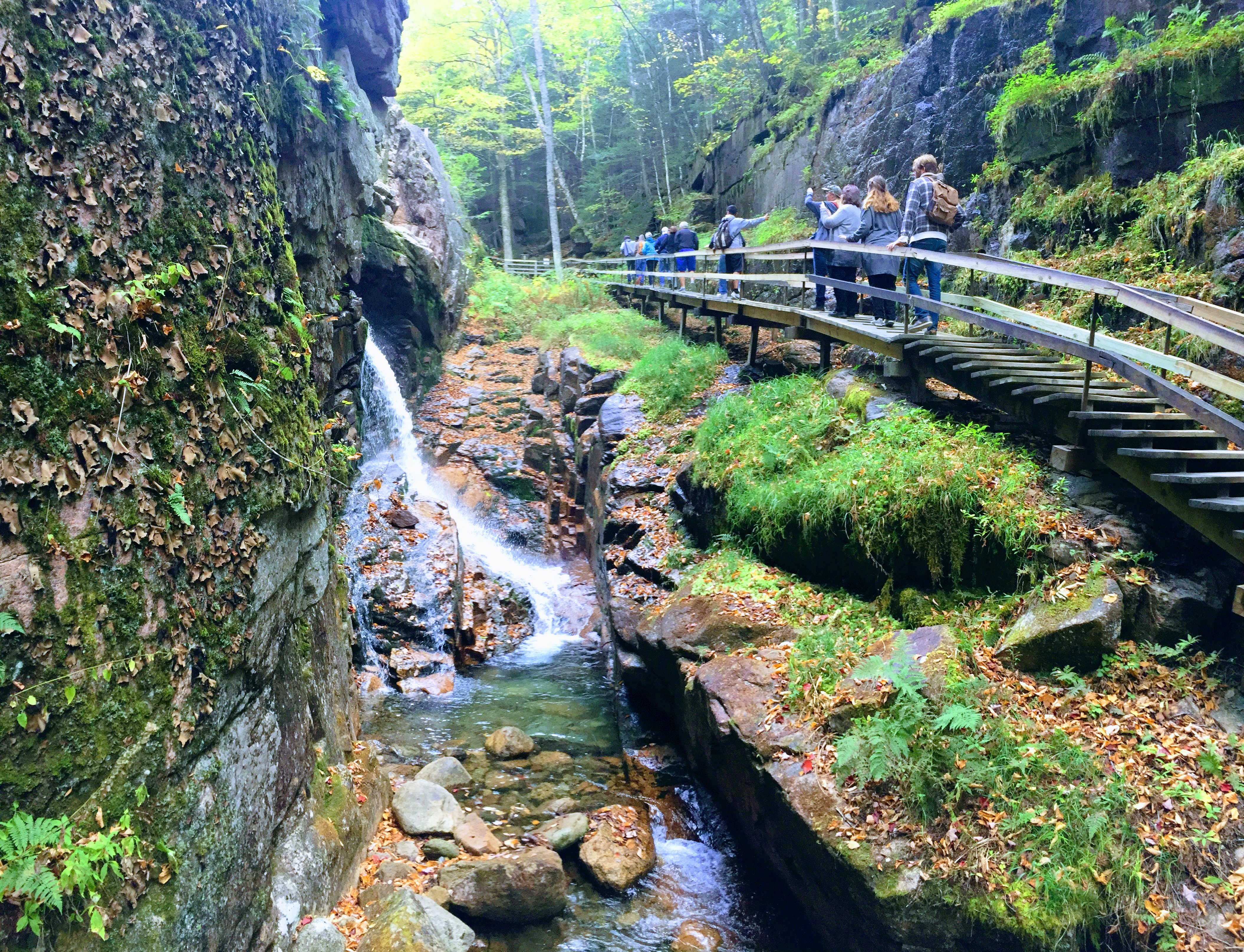 Hiking The Flume Gorge At Franconia Notch State Park - IMG 1897 EFFECTS