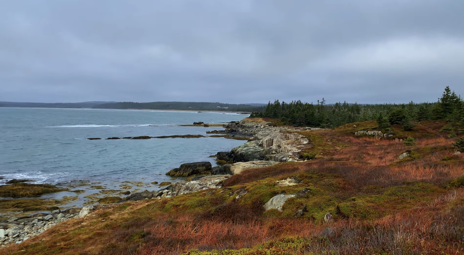 30 Minute Hike - Coastal Hike Along Clam Harbour - Nova Scotia - 265F0F59 D548 4ED4 9830 5682974E077E
