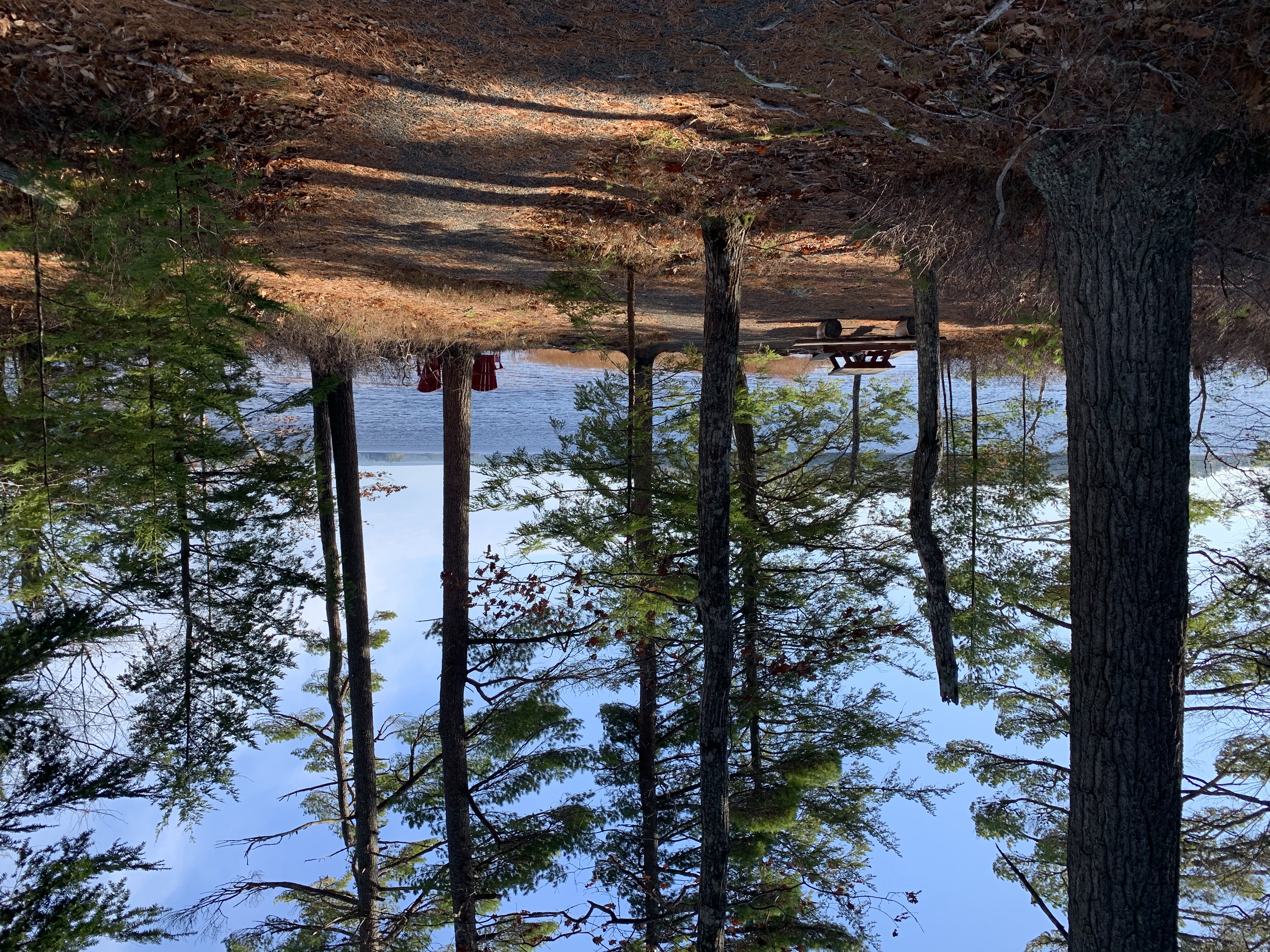 30 Minute Hike - Rogers Brook & Grafton Woods - Kejimkujik Nova Scotia - E8000CED AC92 4B9F 9A51 27FD3129CB4B