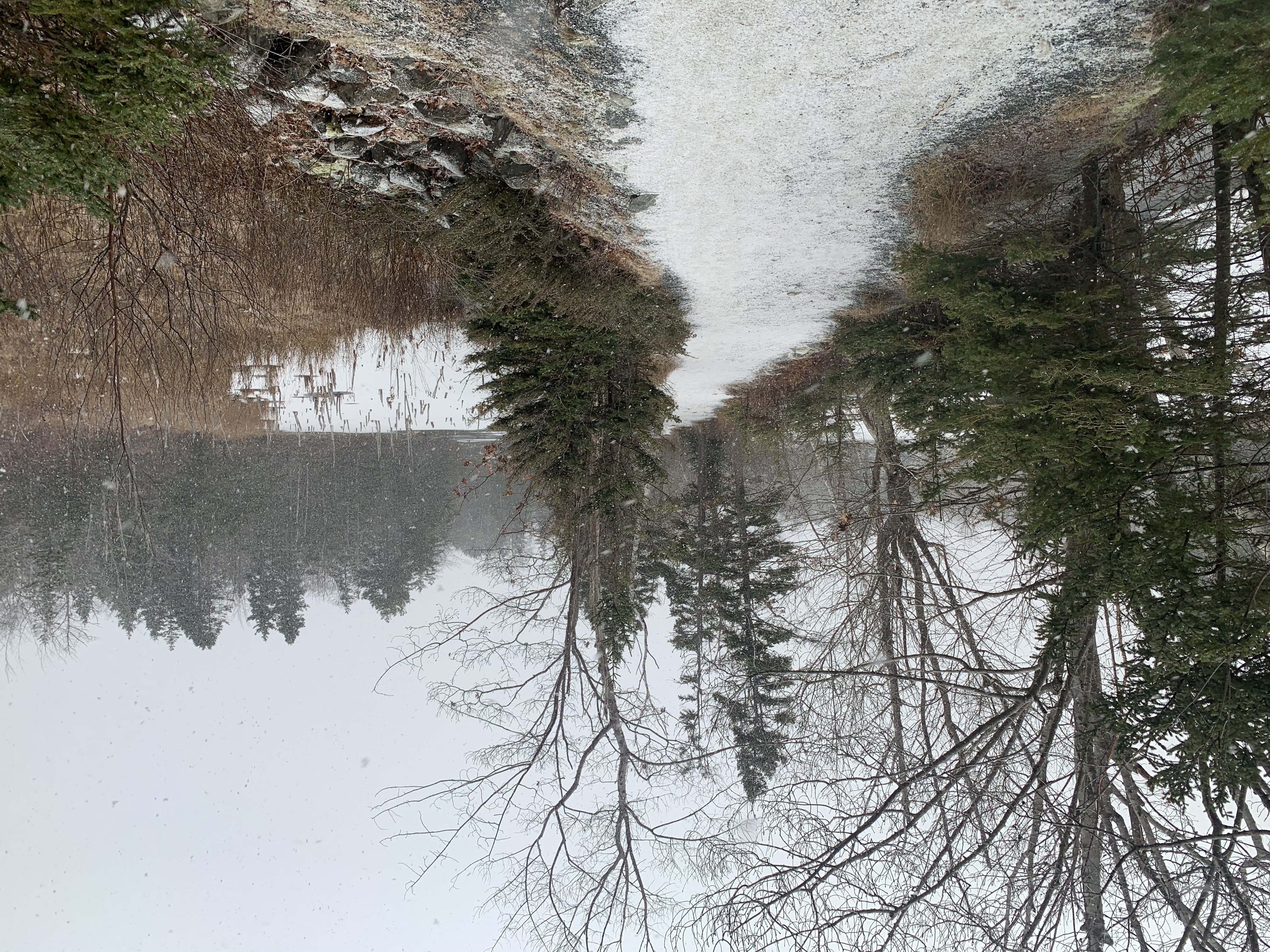 Planning An Urban Hike With Gaia GPS - 71854488 79D7 42C1 A012 714B53D03388
