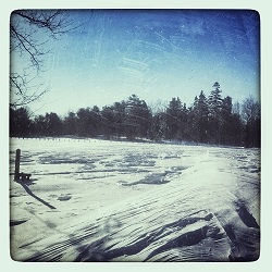 Snow-covered scene at Oakfield Provincial Park in winter