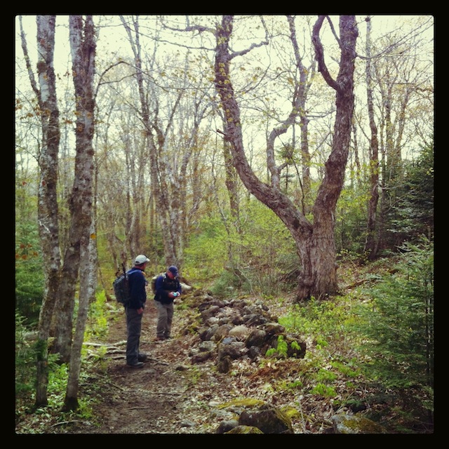 Rogart Mountain Hiking Trail