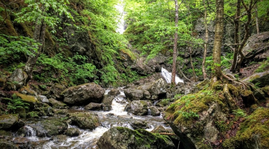 Waterfalls and Big Spruce – Trails to Ales in Cape Breton