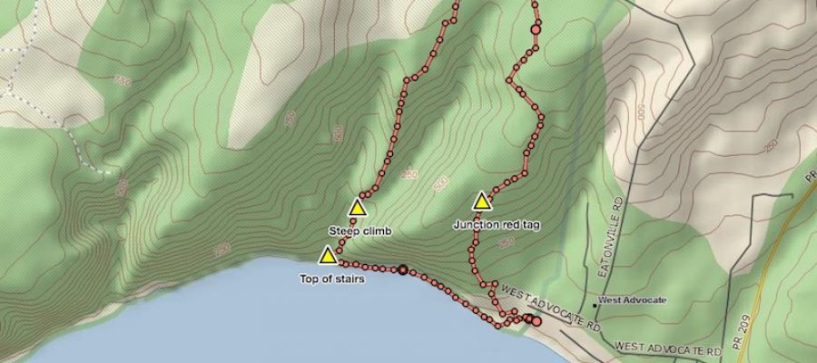 Cape Chignecto – Red Rocks & McGahey Canyon Trail