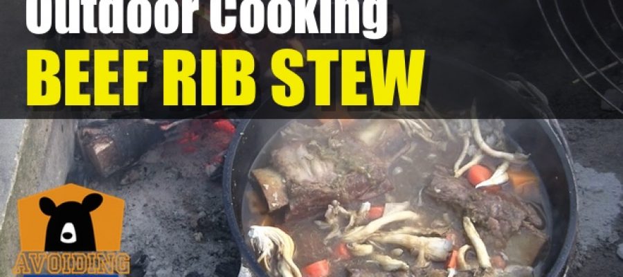 Korean Beef Short Rib Stew In Lodge Dutch Oven