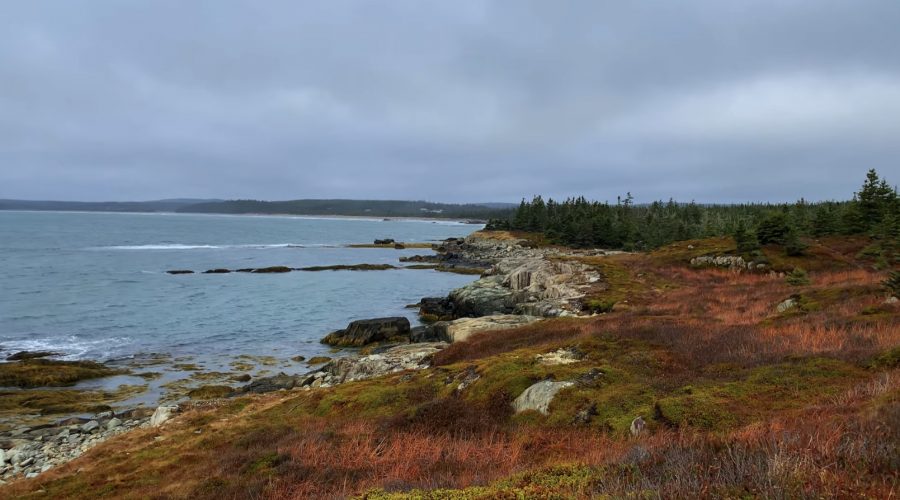 30 Minute Hike – Coastal Hike Along Clam Harbour – Nova Scotia