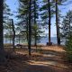 30 Minute Hike – Rogers Brook & Grafton Woods – Kejimkujik Nova Scotia