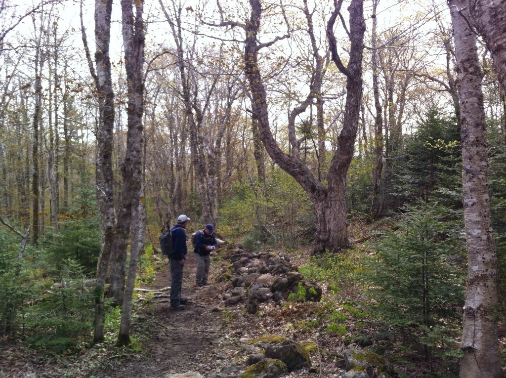 Rogart Mountain Hiking Trail