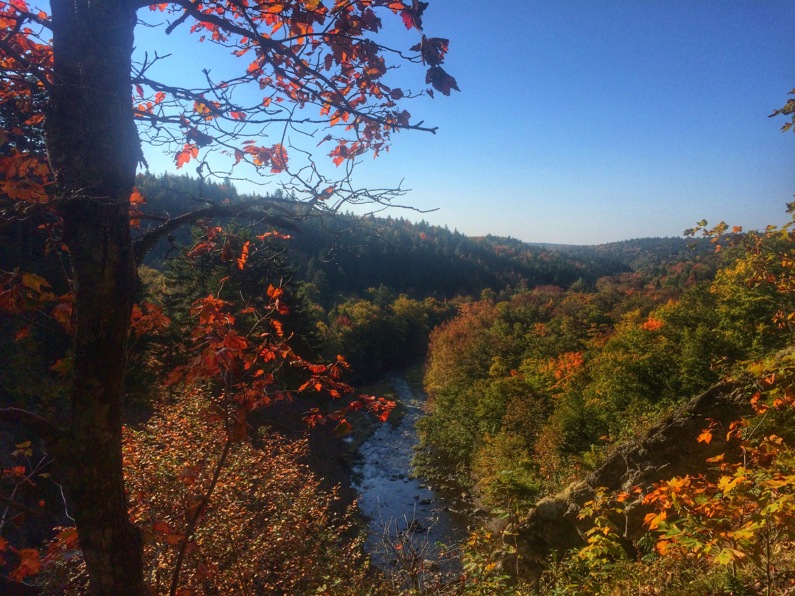 Cobequid Escarpment trail photo 2 of 6
