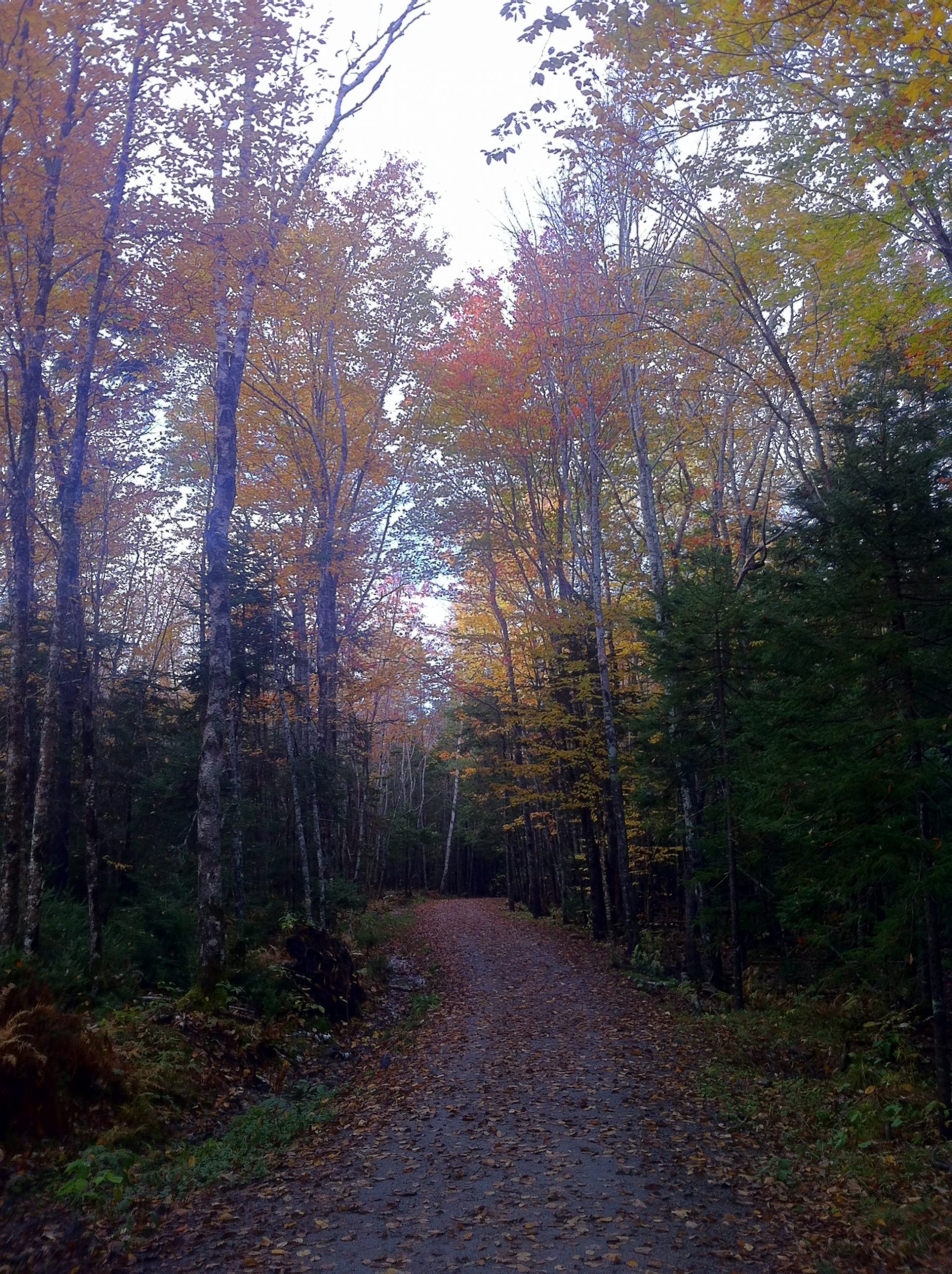 First Lake Trail trail photo 2 of 6