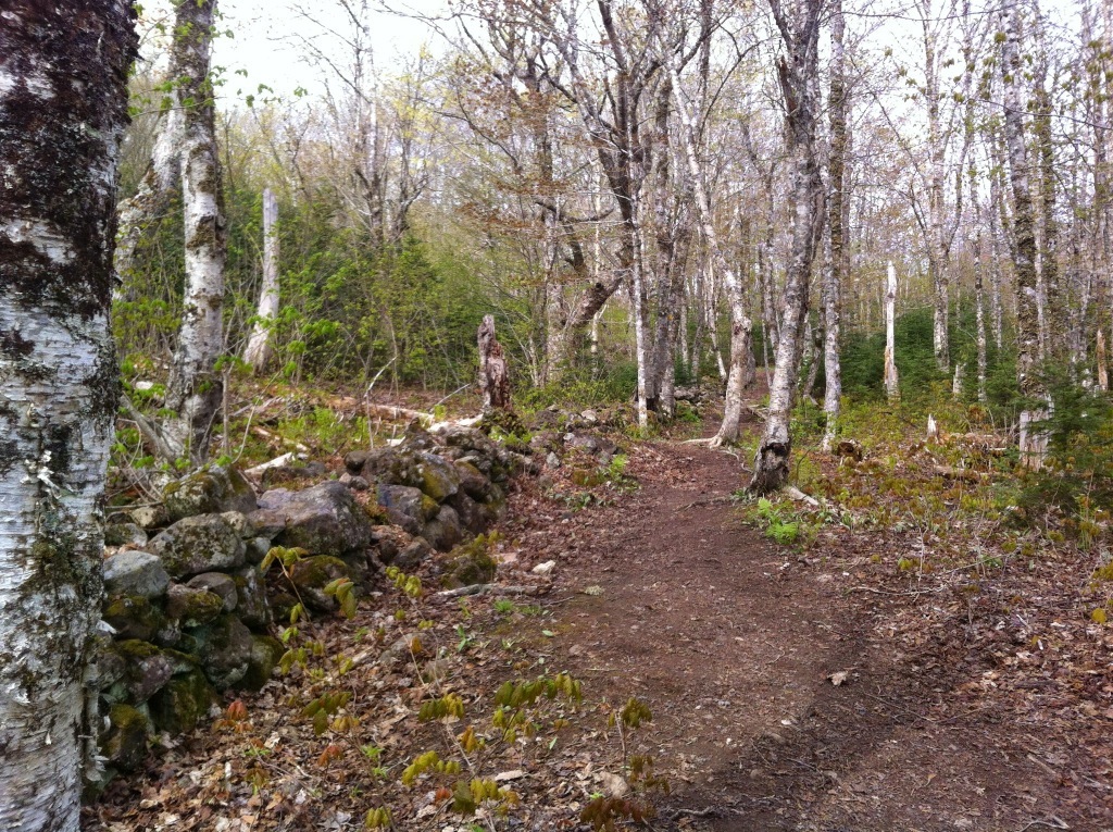 Rogart Mountain trail photo 4 of 9