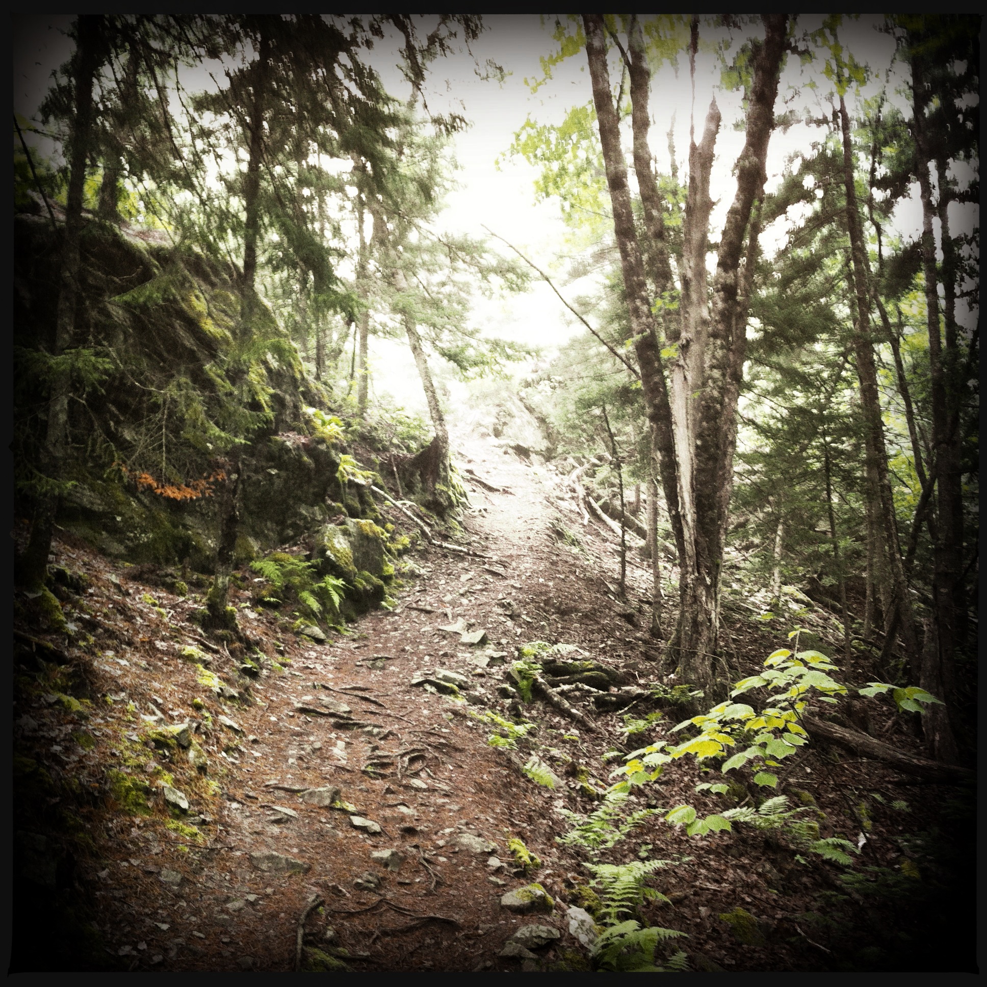Kearney Lake trail photo 2 of 11