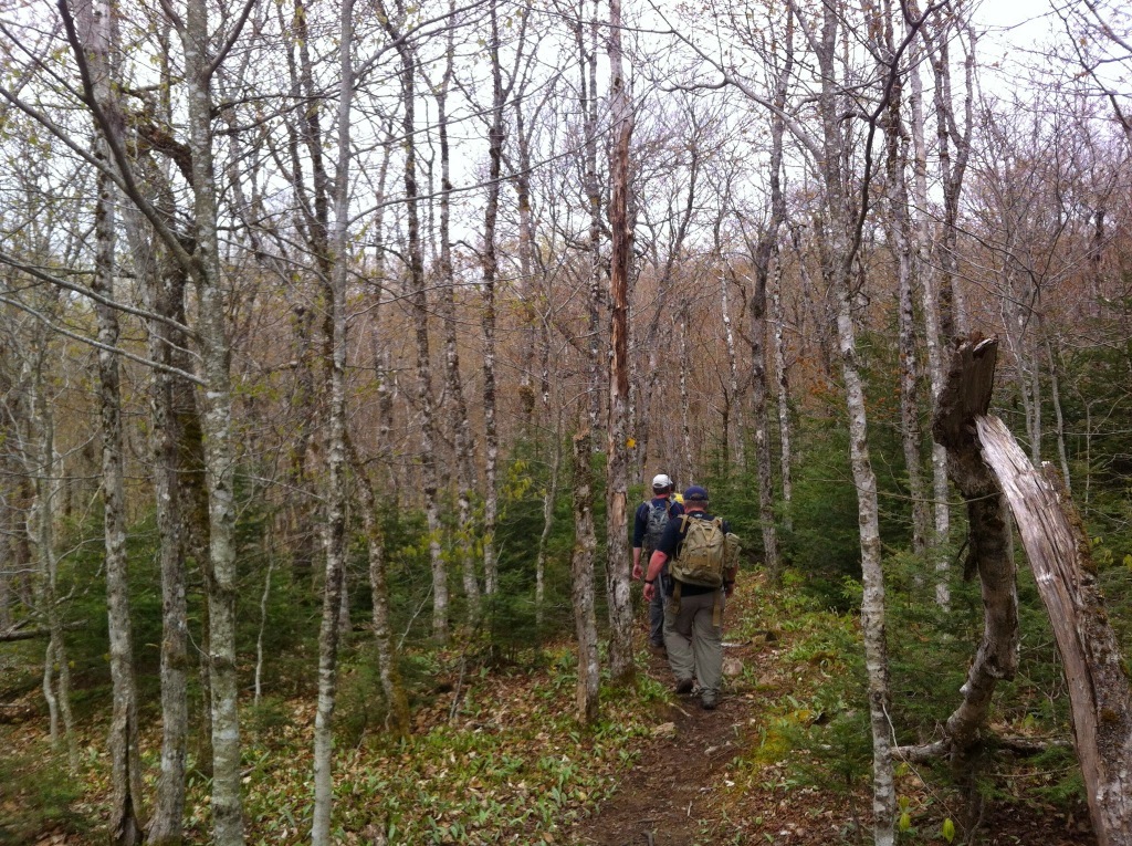 Rogart Mountain trail photo 6 of 9