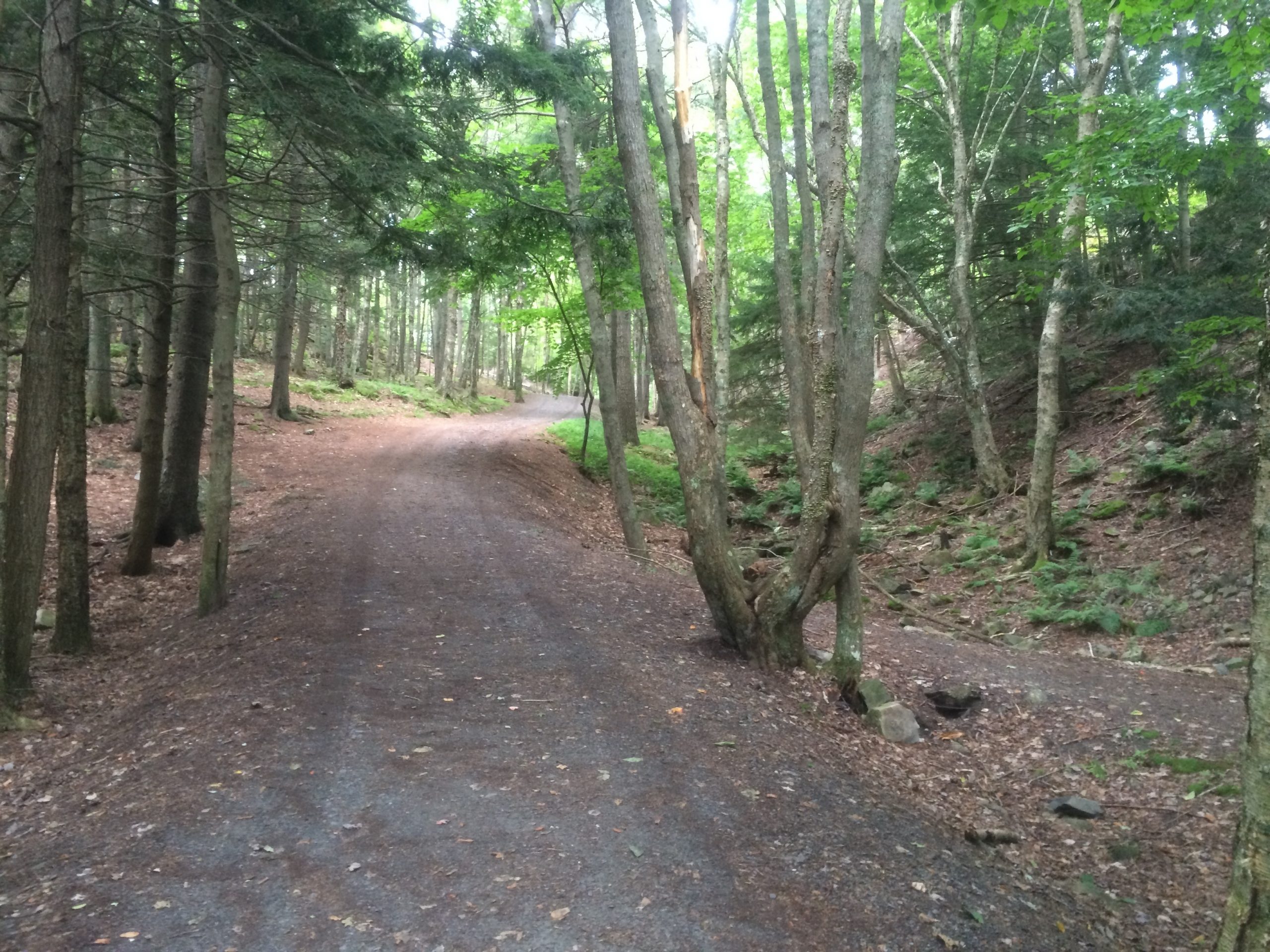Hemlock Ravine Park trail photo 2 of 9
