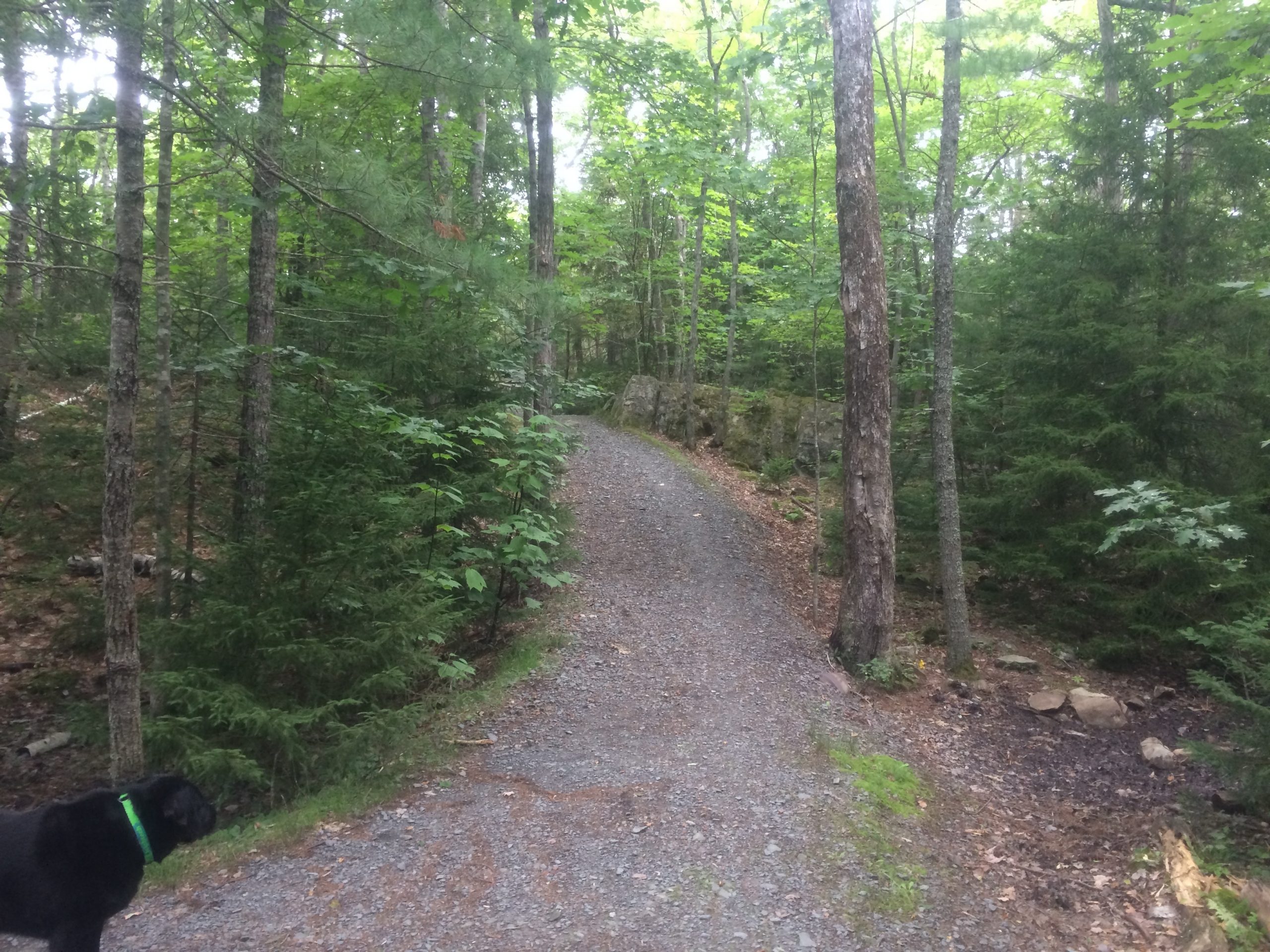 Hemlock Ravine Park trail photo 4 of 9