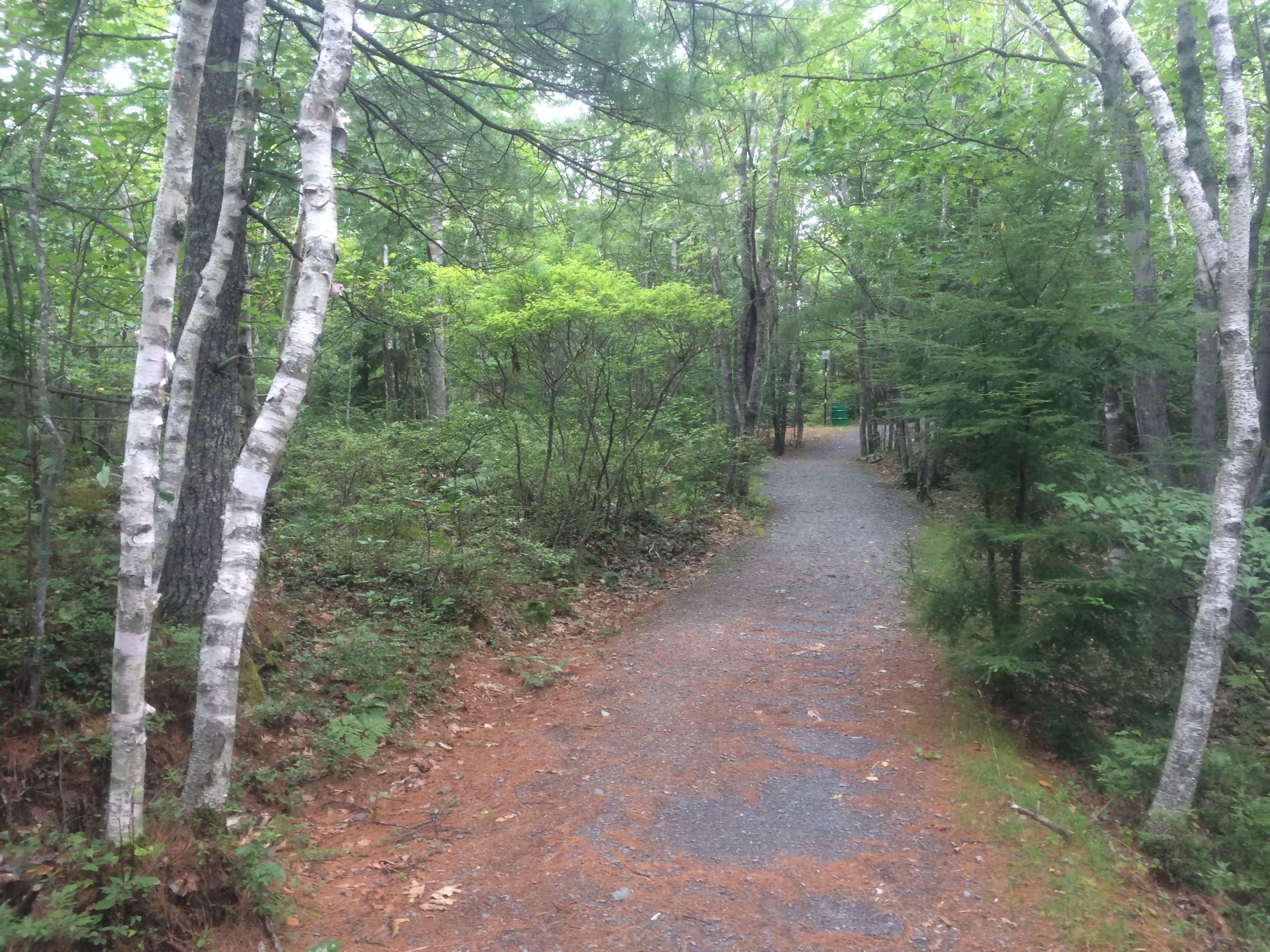 Hemlock Ravine Park trail photo 5 of 9