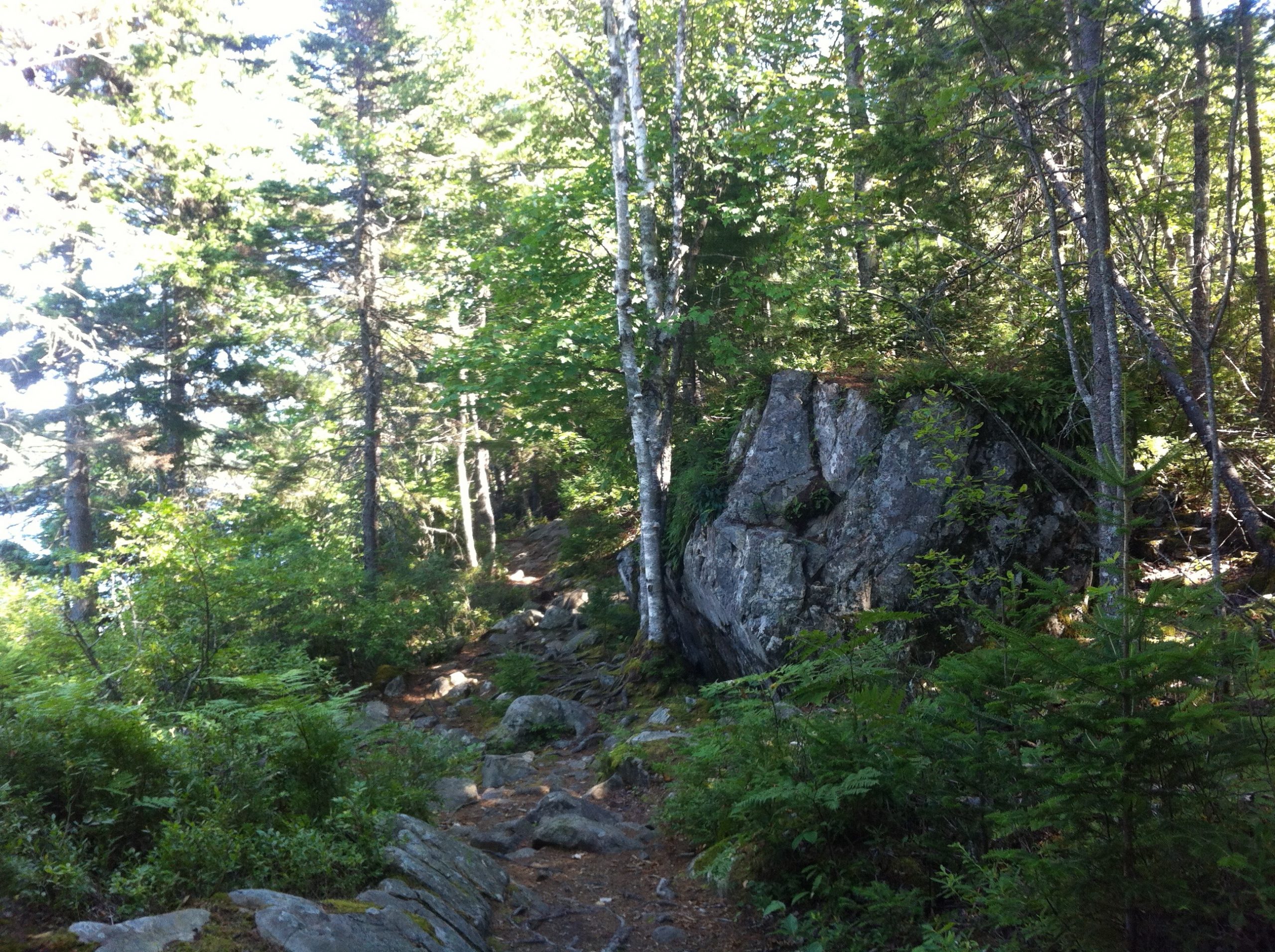 Kearney Lake trail photo 3 of 11