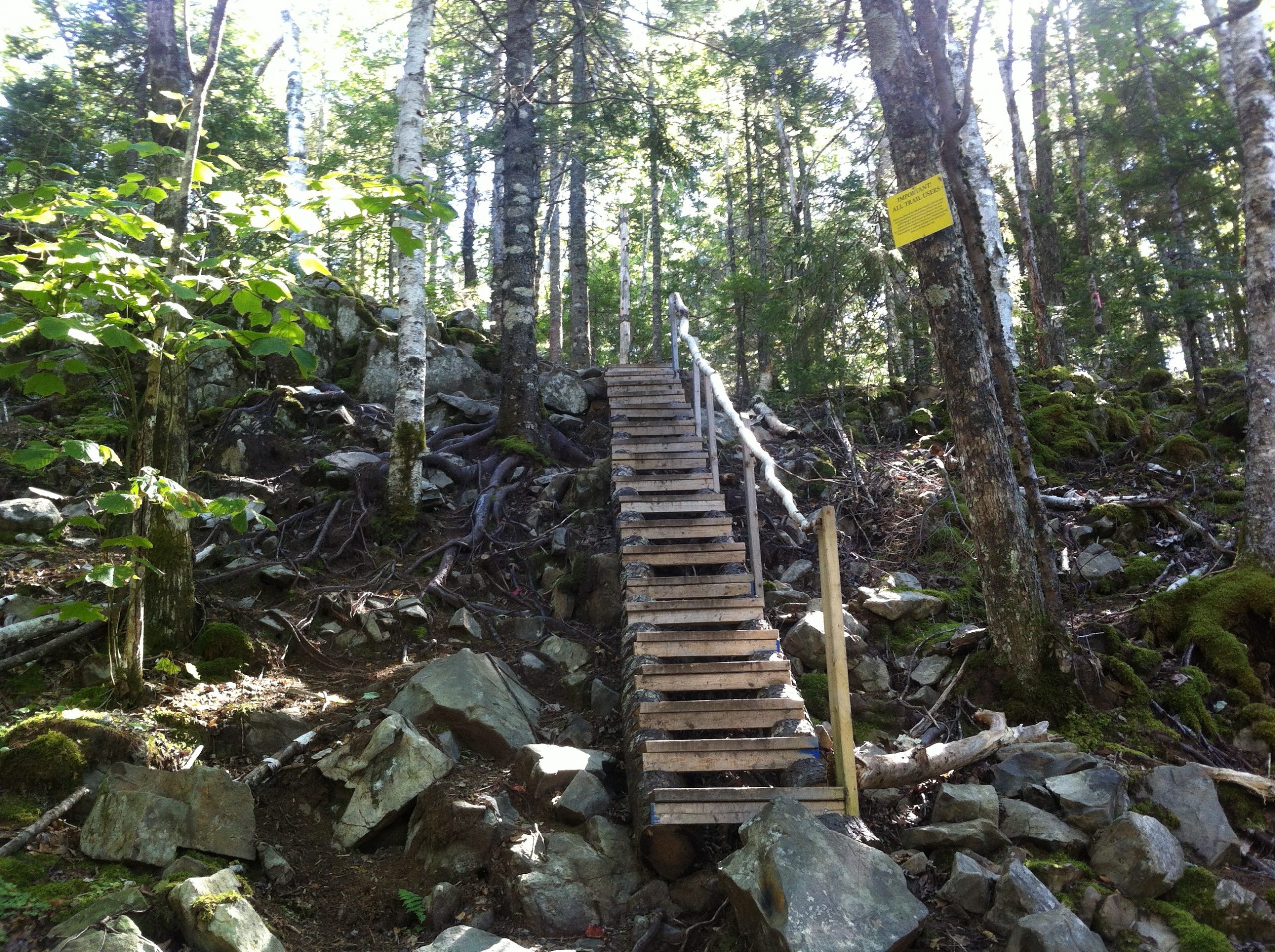 Kearney Lake trail photo 6 of 11