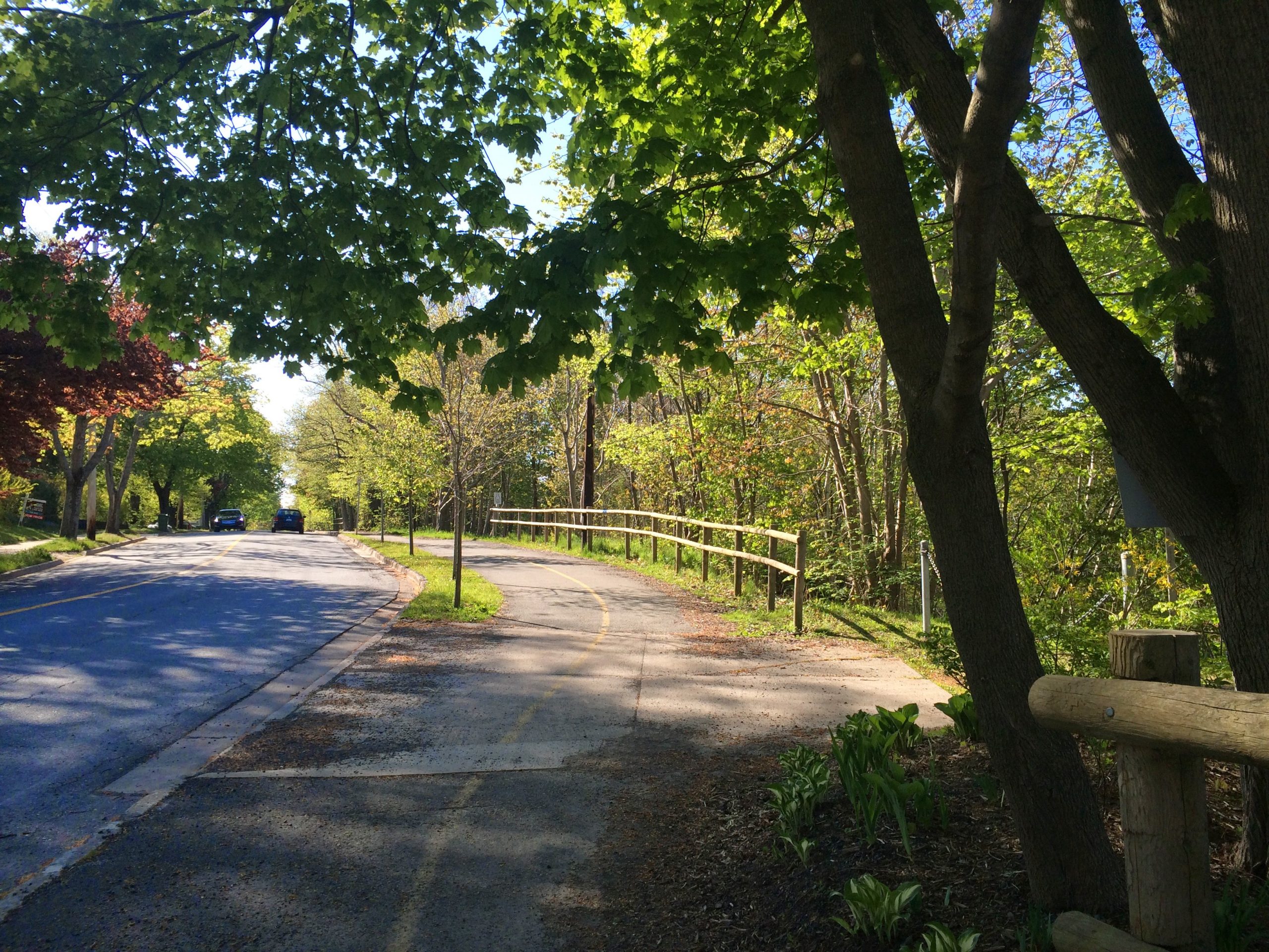 Halifax Urban Greenway trail photo 3 of 6