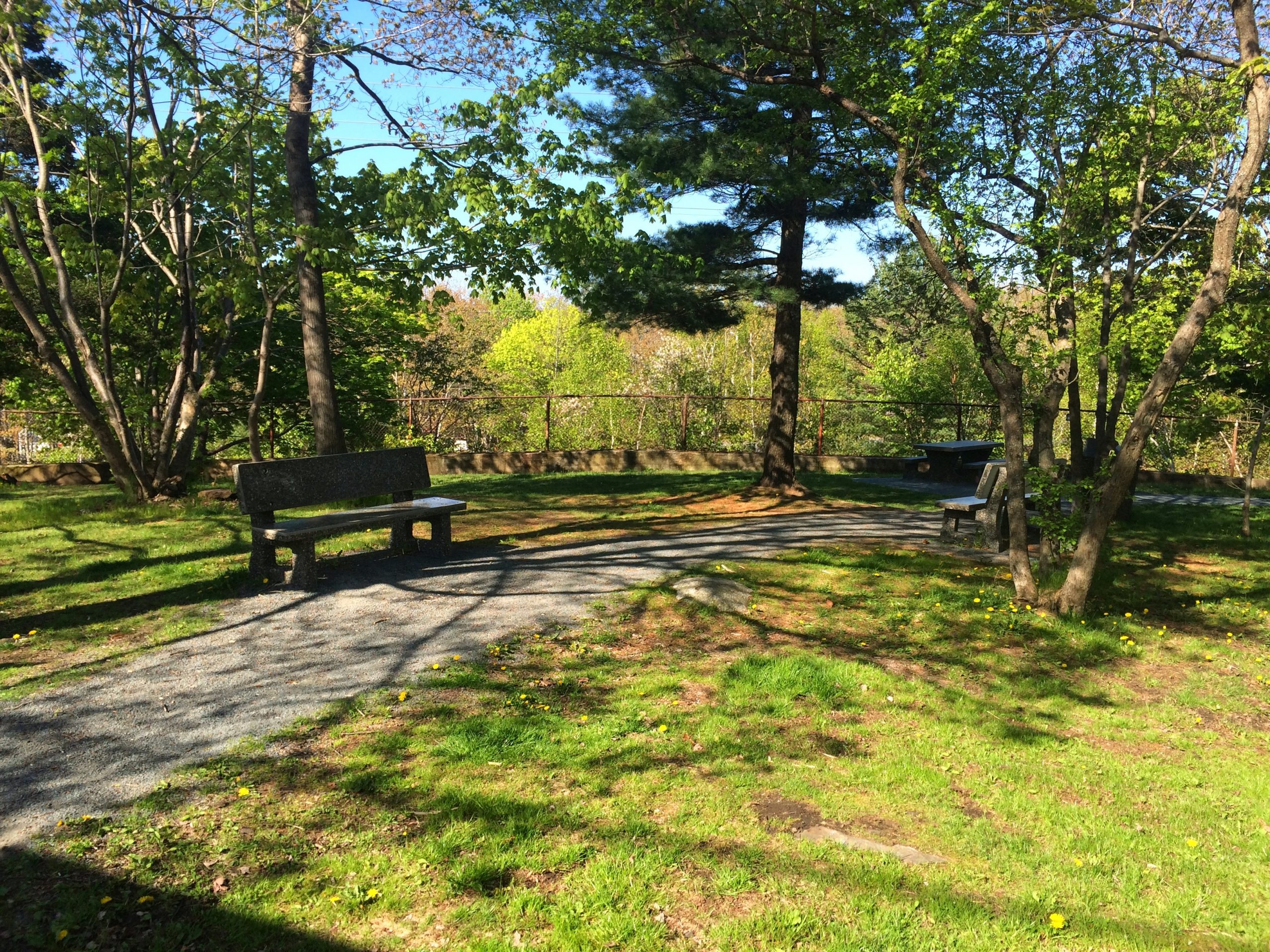 Halifax Urban Greenway trail photo 5 of 6