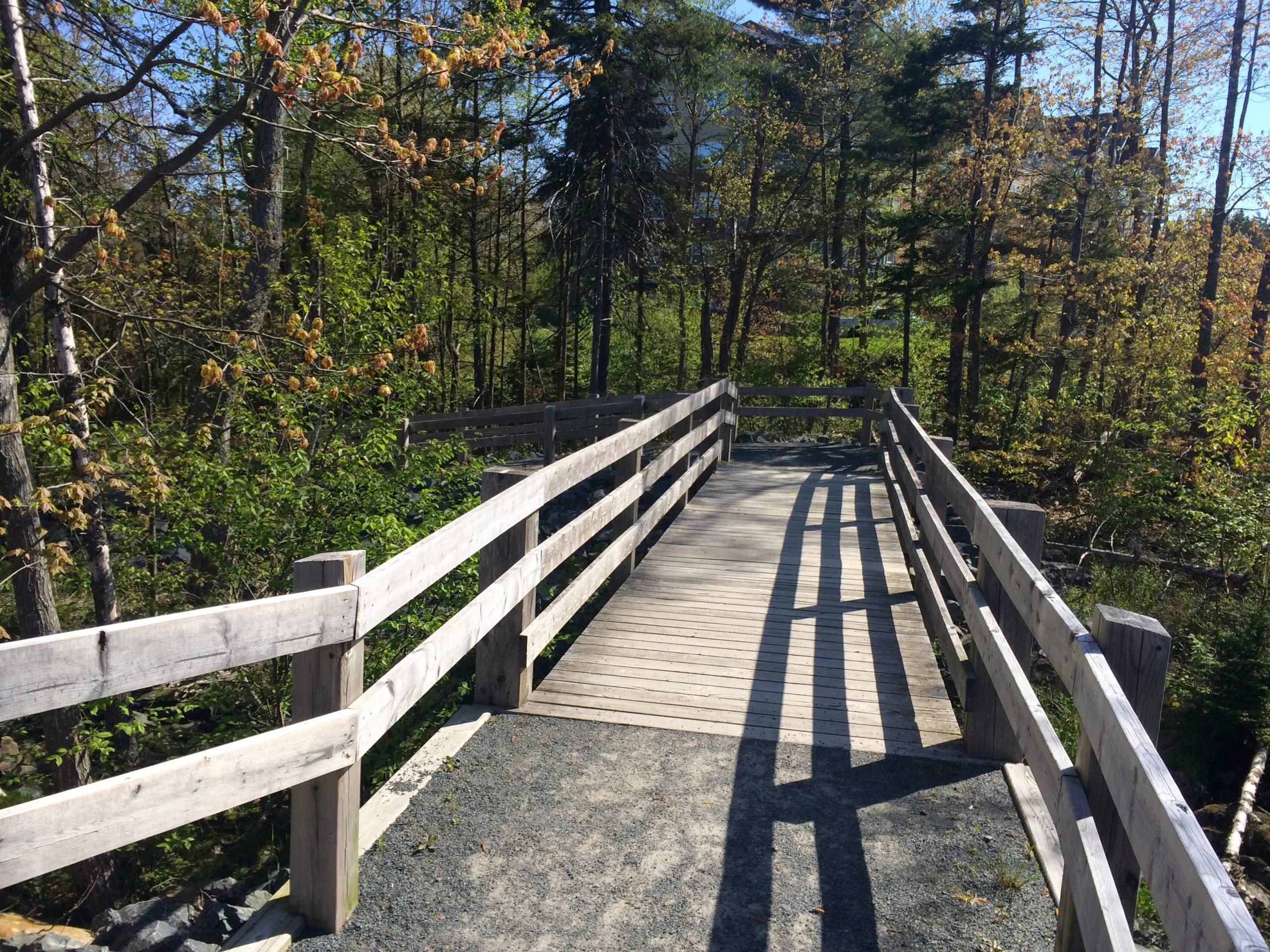 Belchers Marsh trail photo 2 of 6