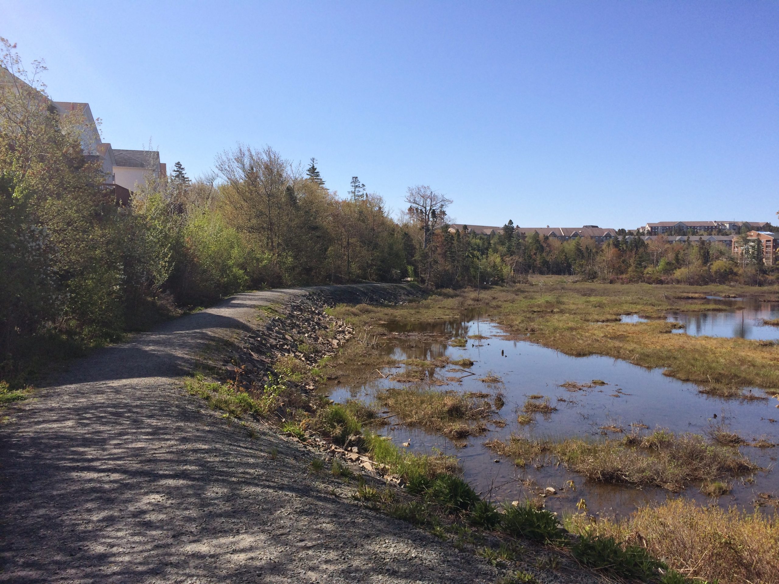 Belchers Marsh trail photo 4 of 6