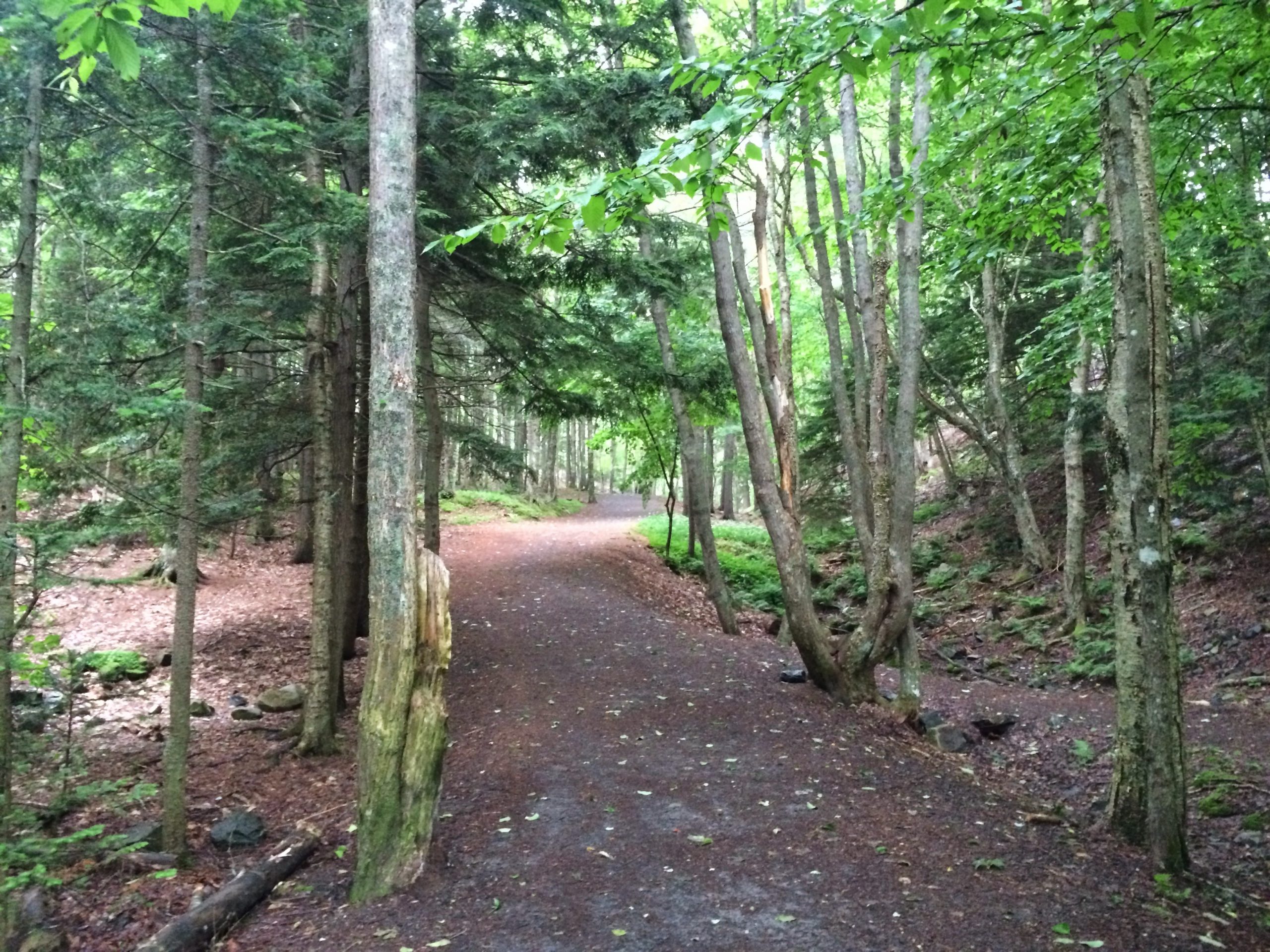 Hemlock Ravine Park trail photo 7 of 9