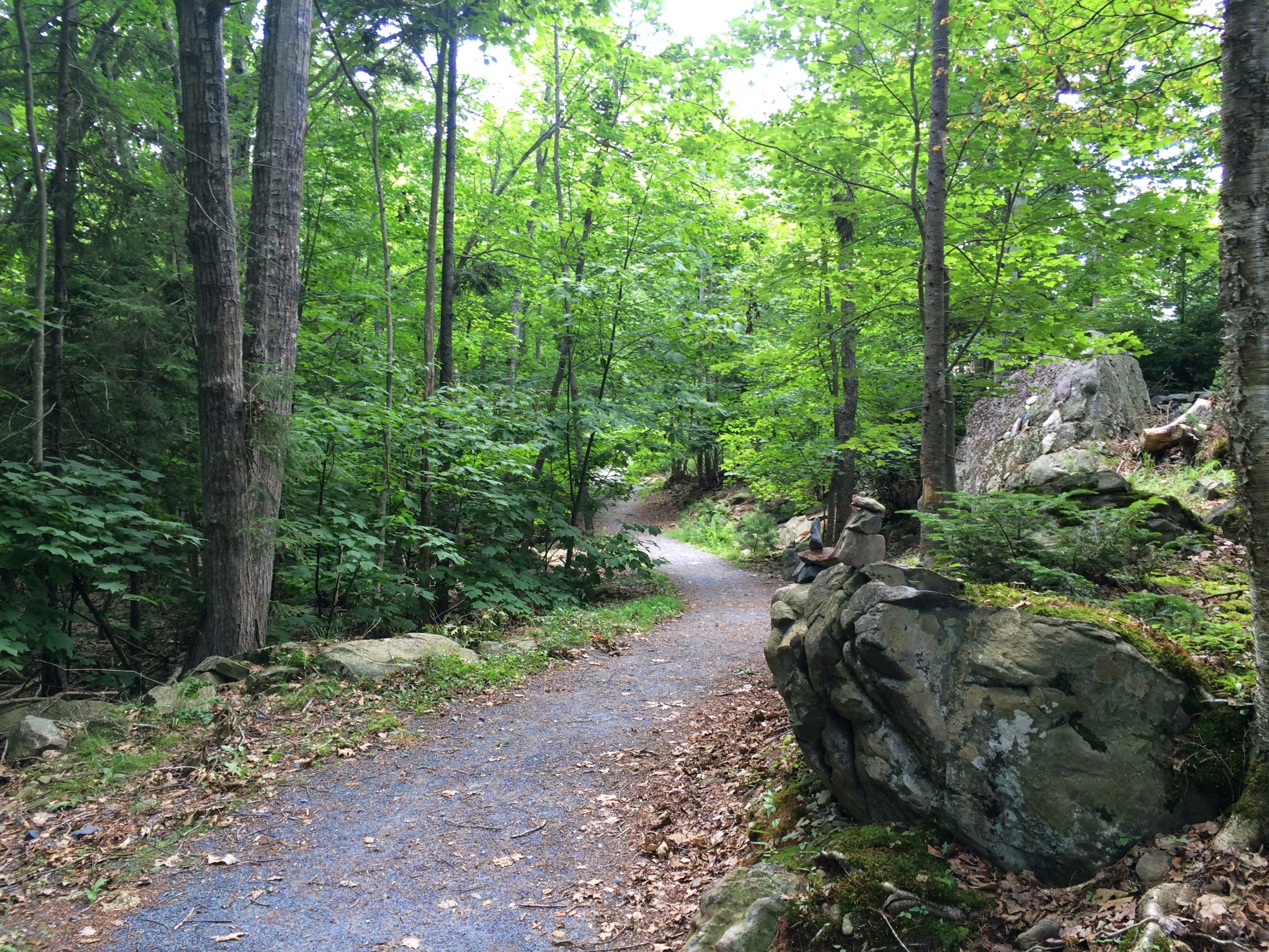 Cabin Lake Trail trail photo 3 of 8