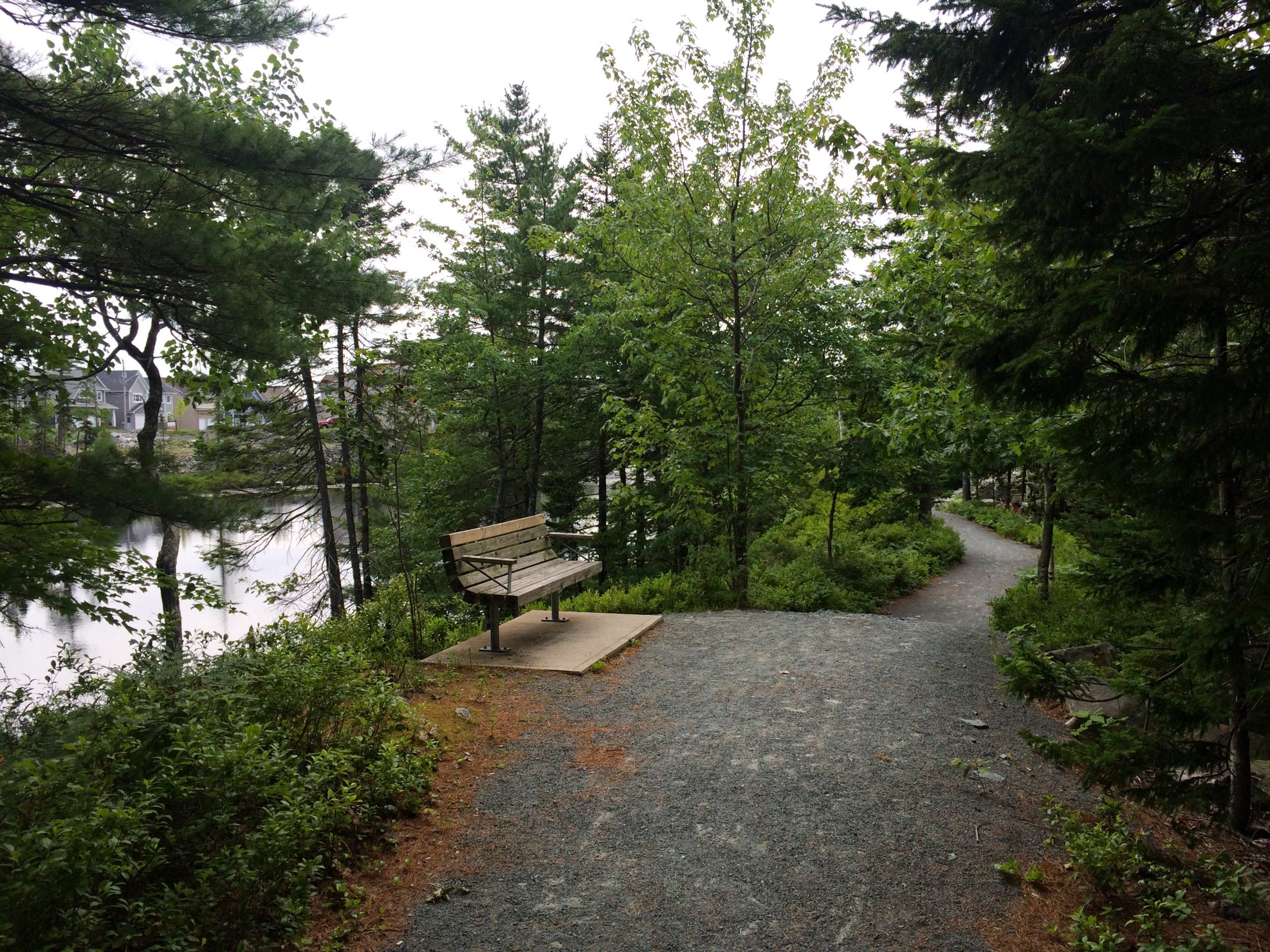 Cabin Lake Trail trail photo 5 of 8