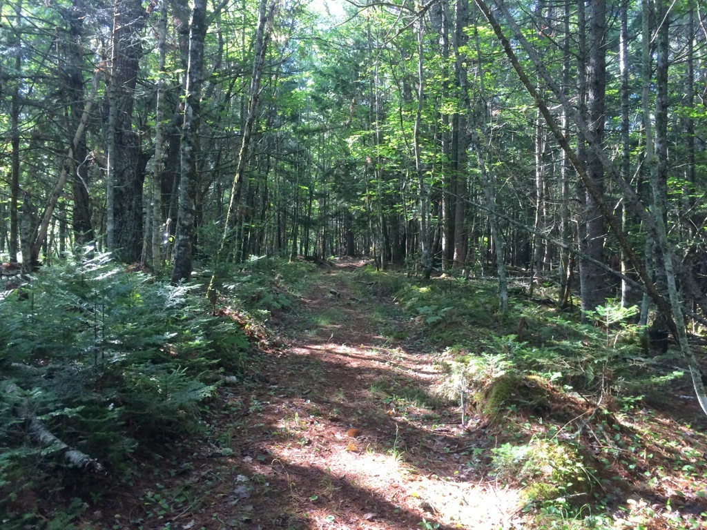 Castle Frederick Trails trail photo 2 of 7