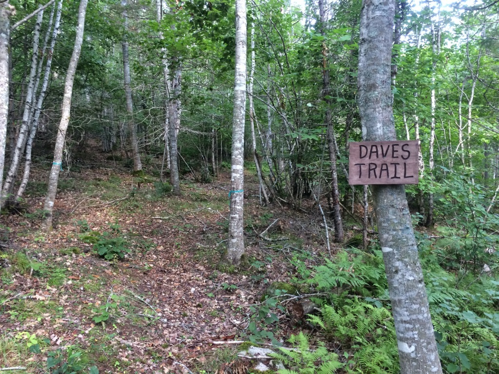 Castle Frederick Trails trail photo 3 of 7
