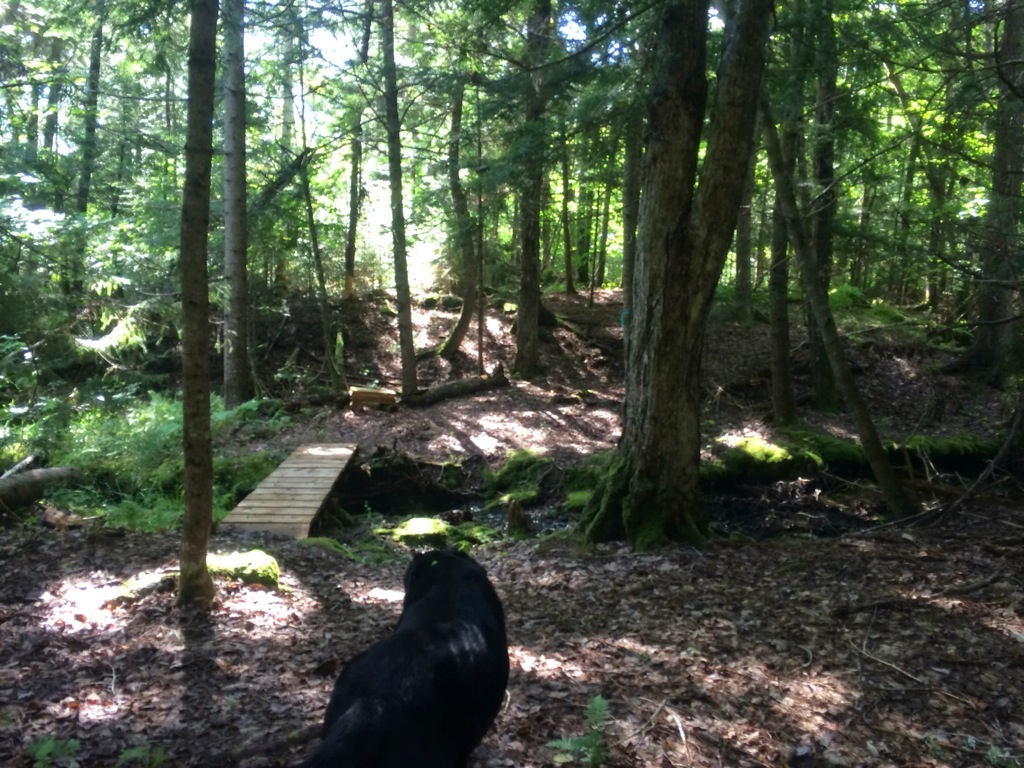 Castle Frederick Trails trail photo 4 of 7