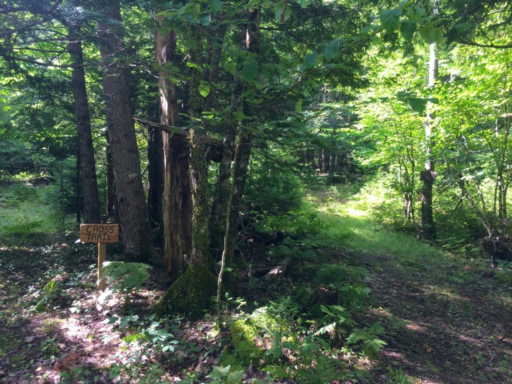 Castle Frederick Trails trail photo 5 of 7