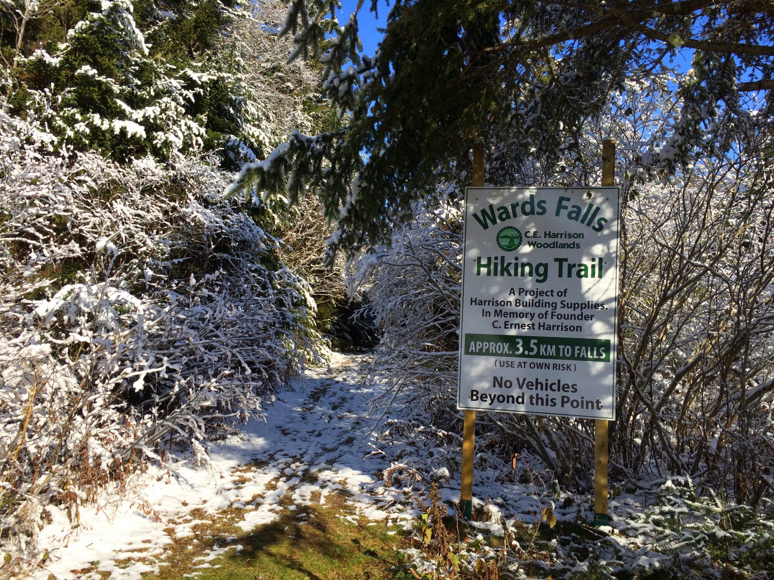 Ward’s Falls trail photo 2 of 8