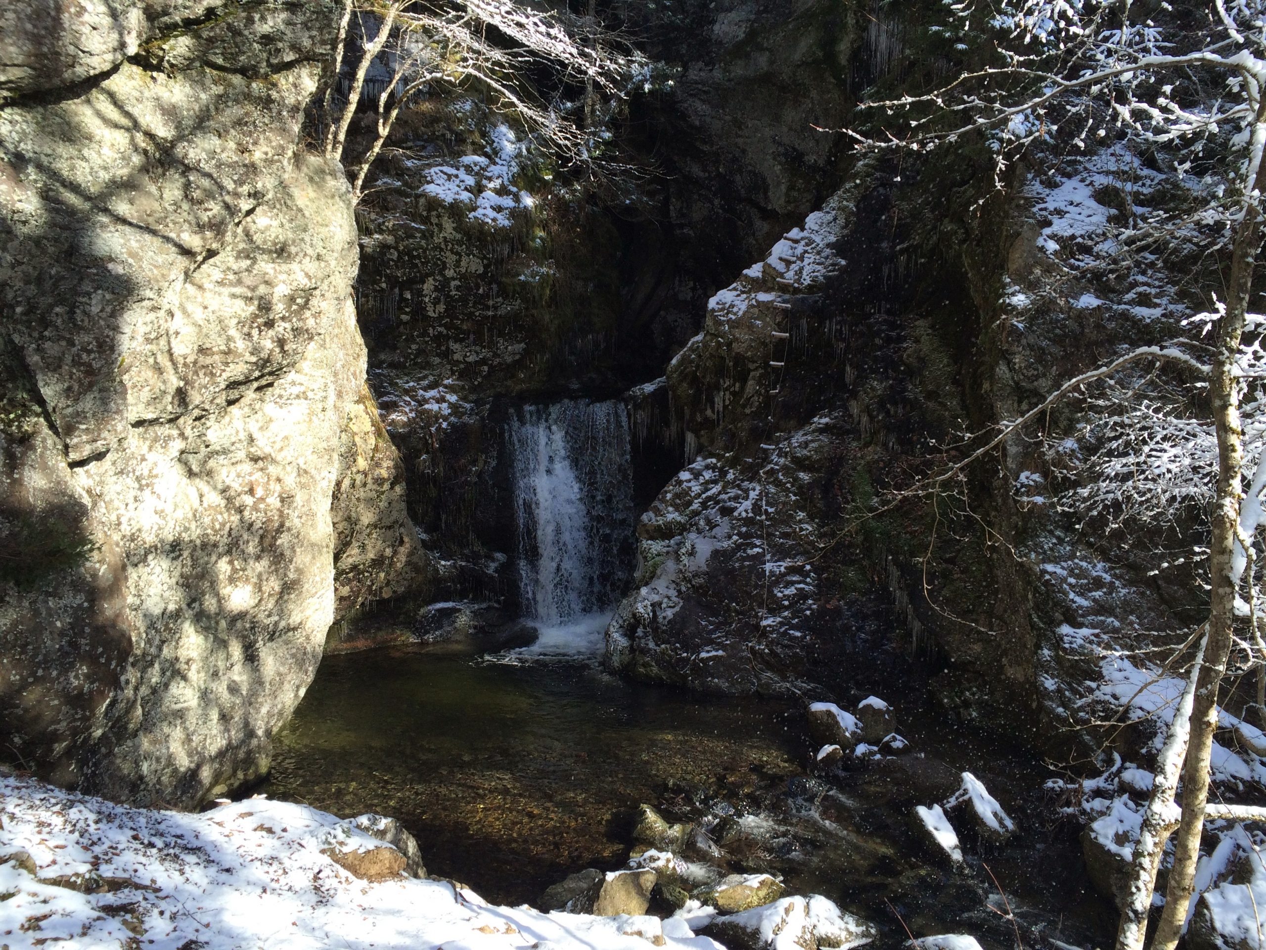 Ward’s Falls trail photo 4 of 8