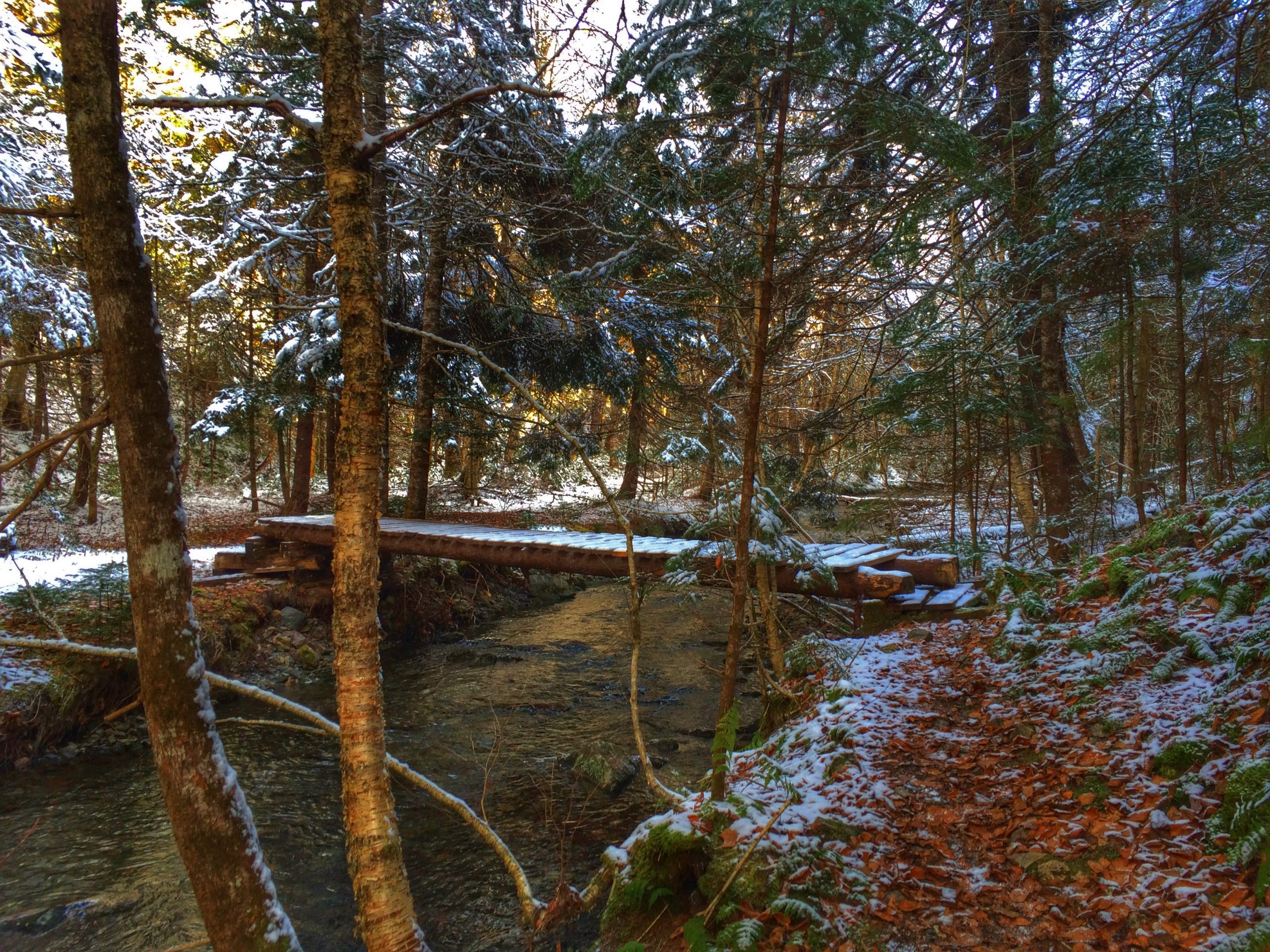 Ward’s Falls trail photo 5 of 8