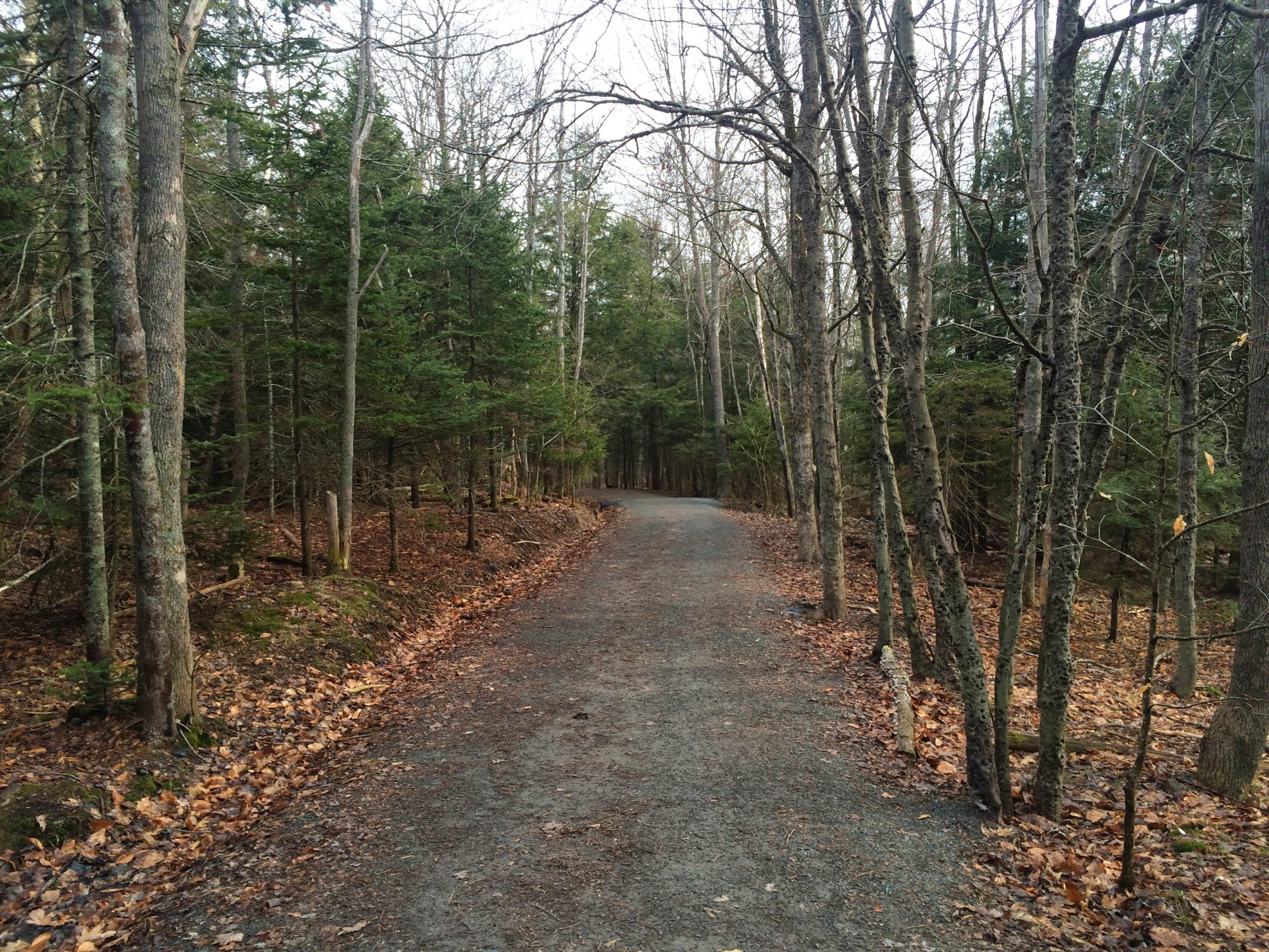 First Lake Trail trail photo 4 of 6