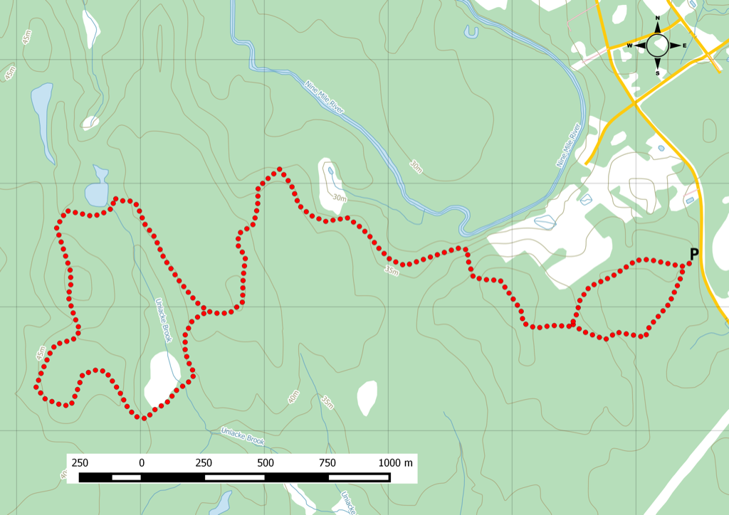 Nine Mile River trail photo 5 of 5