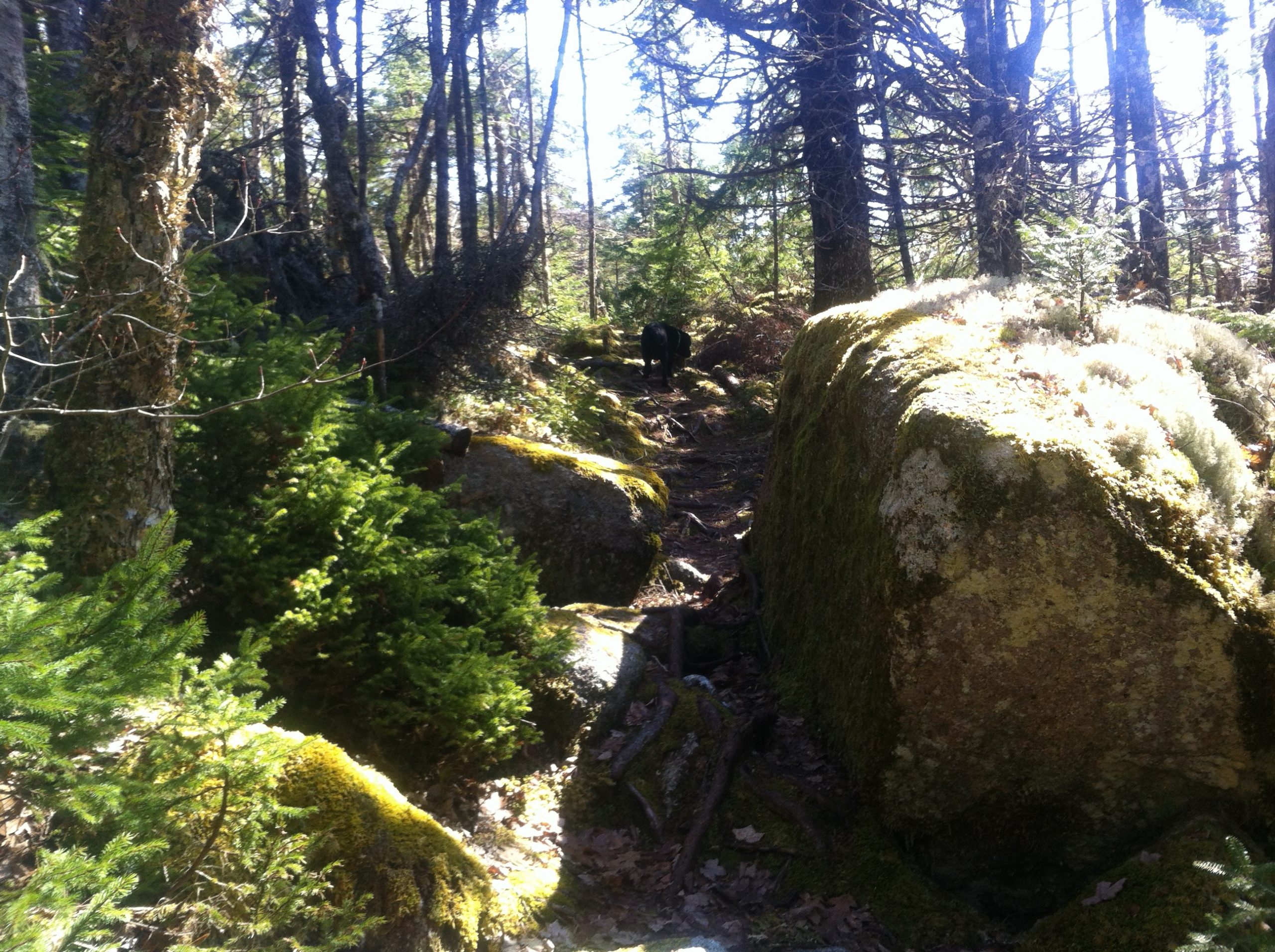 Admiral Lake Loop trail photo 3 of 10