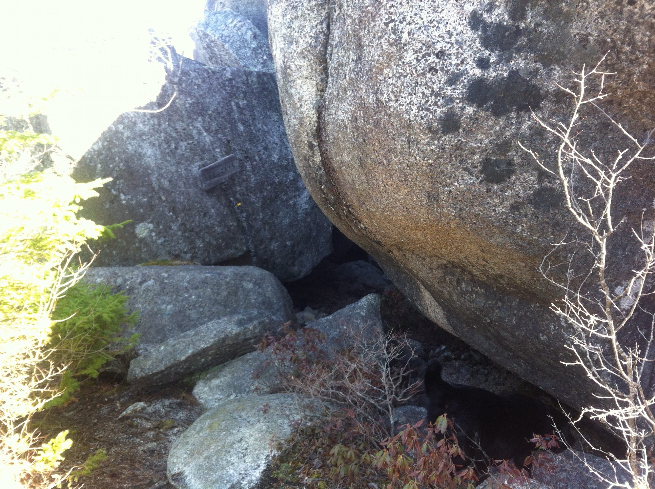 Admiral Lake Loop trail photo 5 of 10