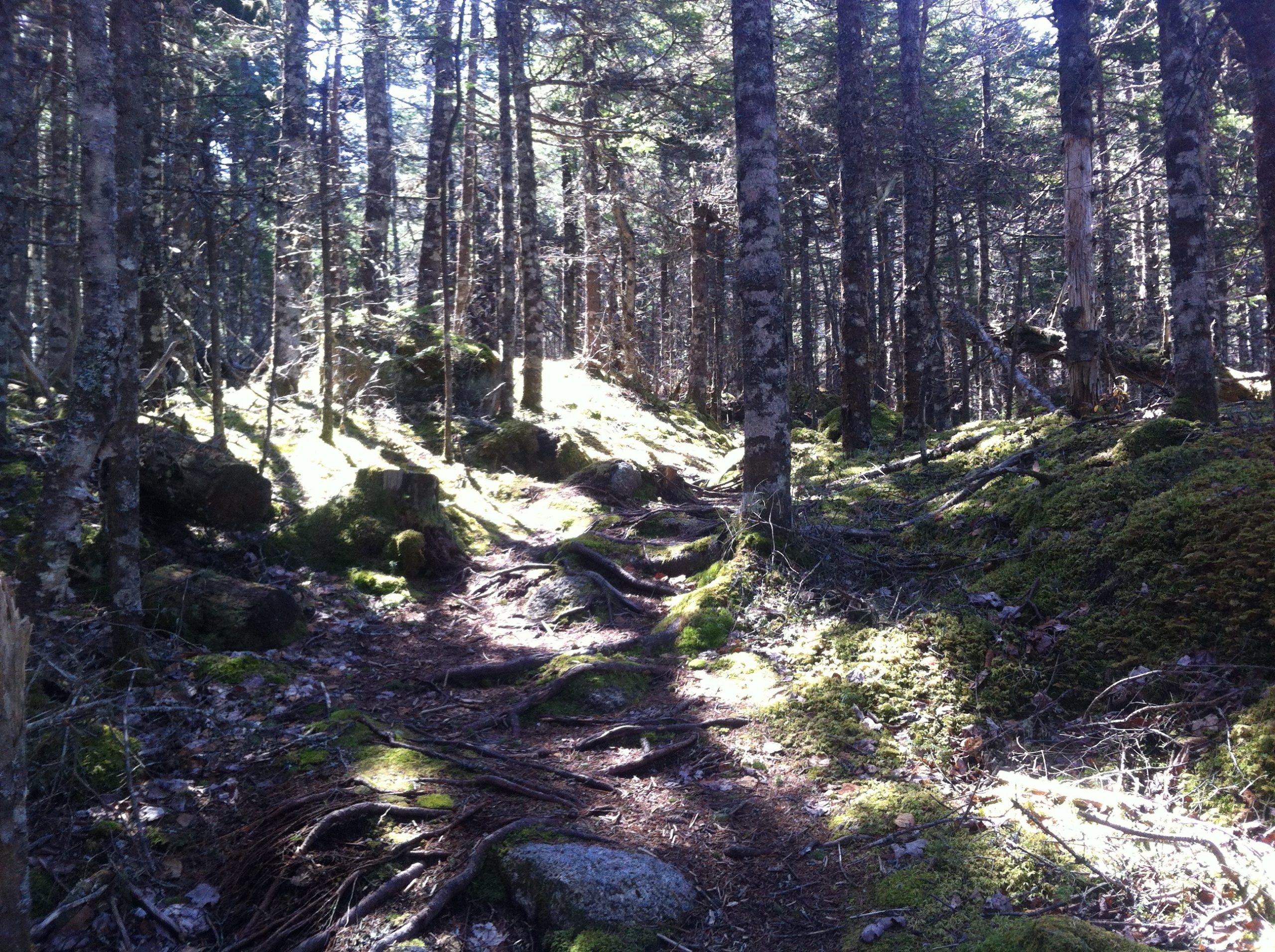 Admiral Lake Loop trail photo 6 of 10