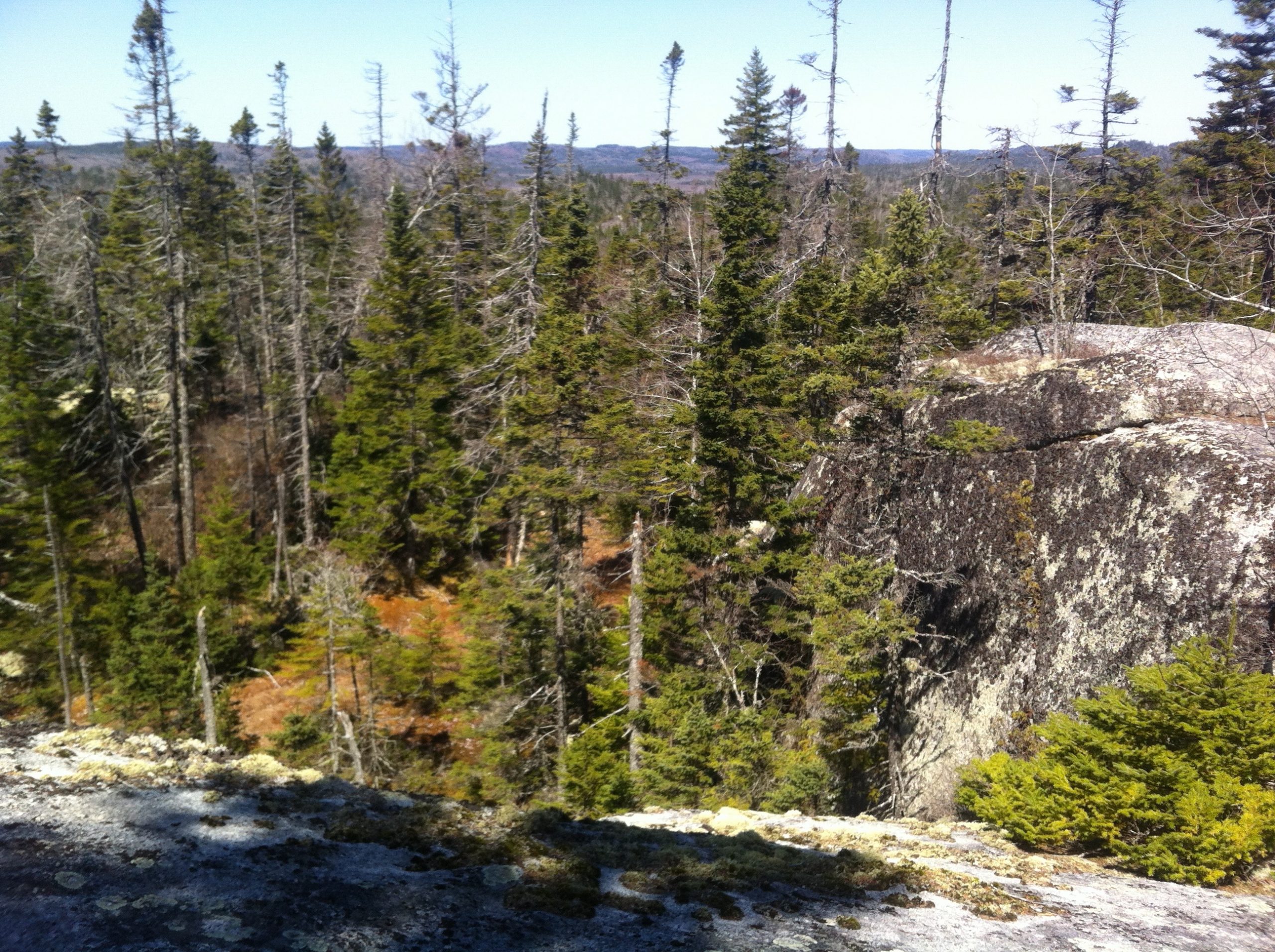 Admiral Lake Loop trail photo 7 of 10