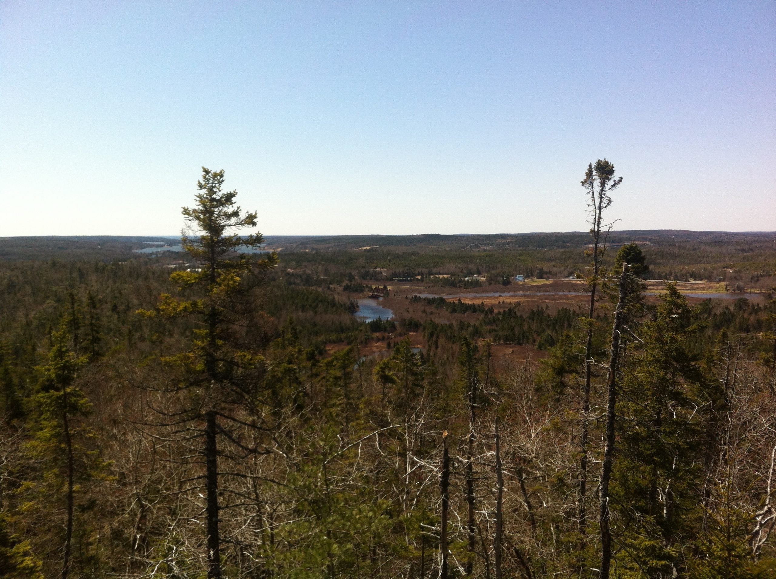 Admiral Lake Loop trail photo 9 of 10