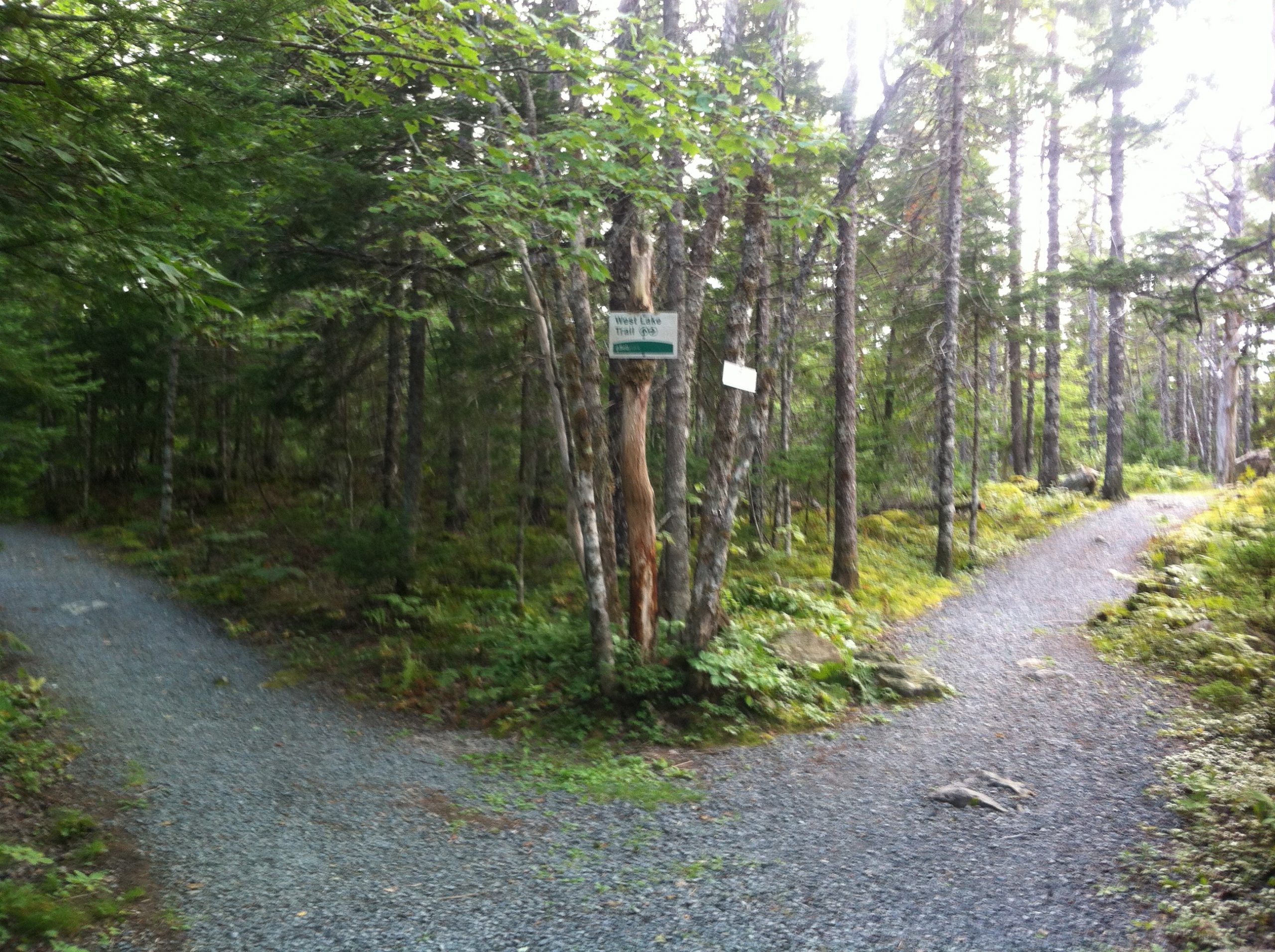 Bell Park trail photo 2 of 13