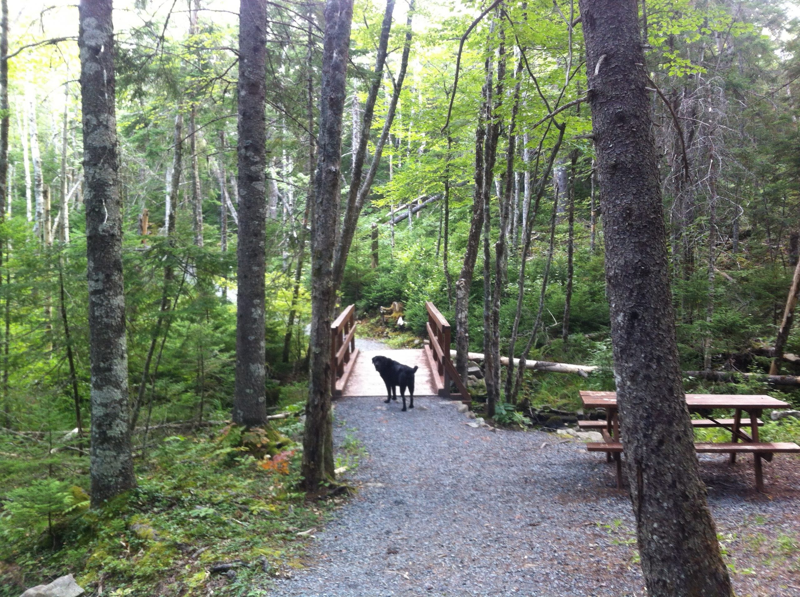 Bell Park trail photo 5 of 13