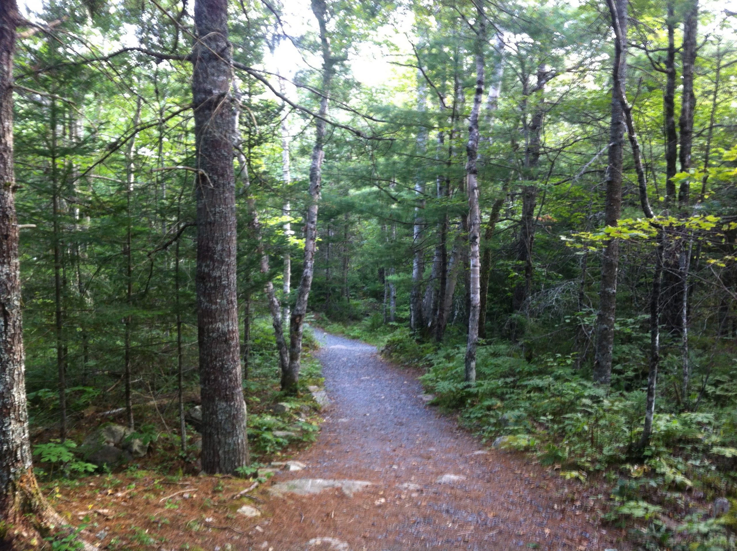 Bell Park trail photo 7 of 13