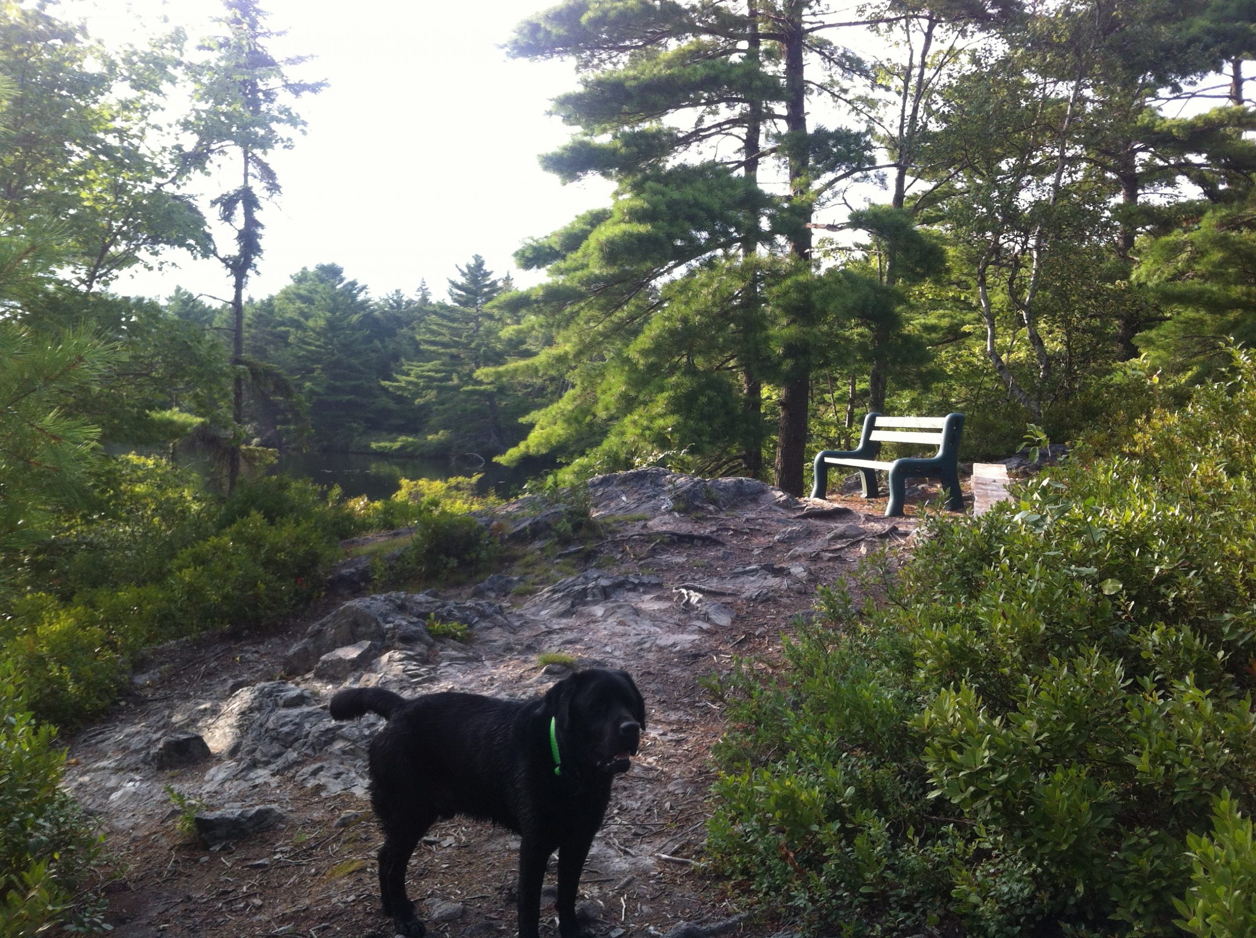 Bell Park trail photo 8 of 13