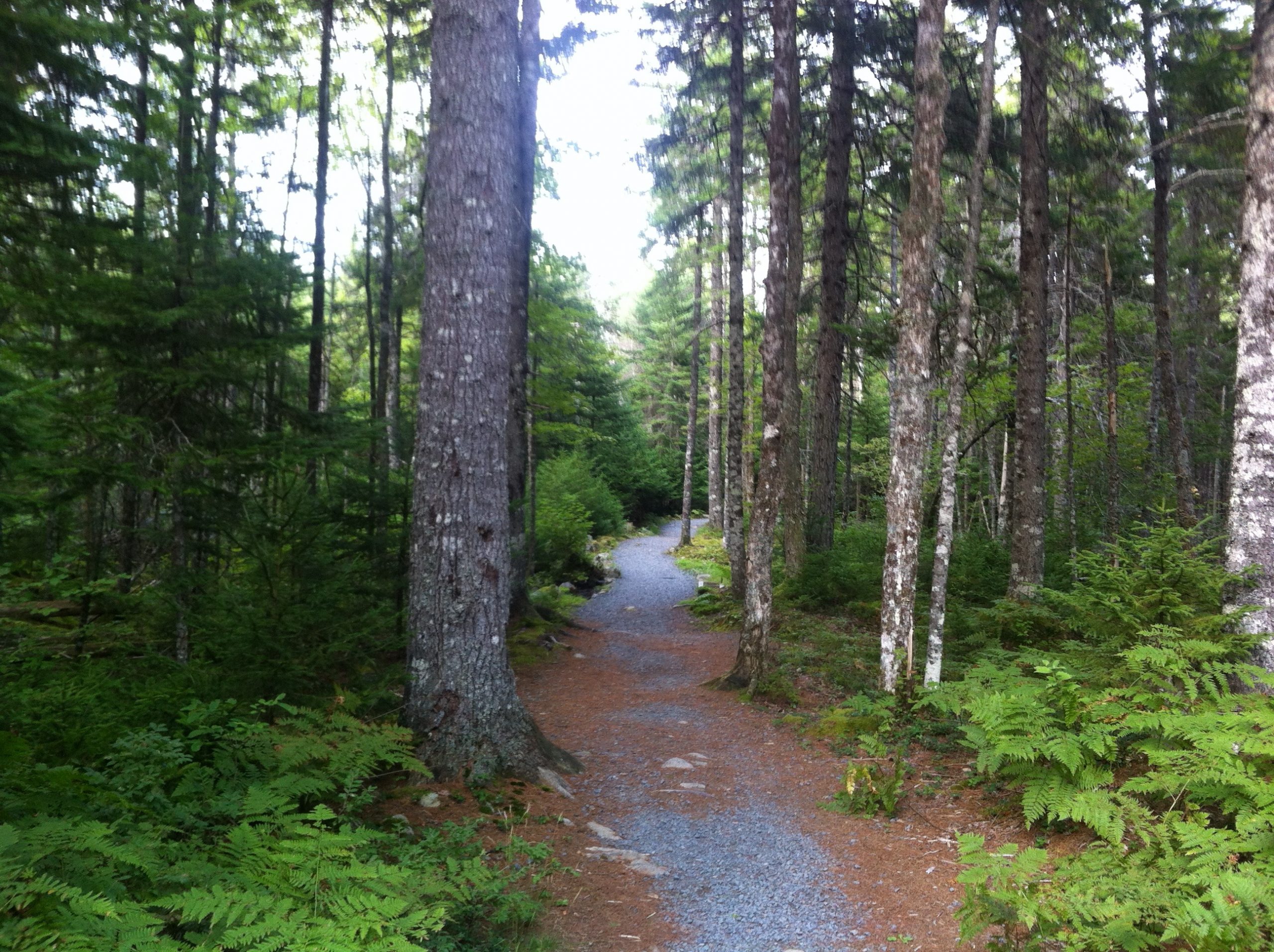 Bell Park trail photo 9 of 13
